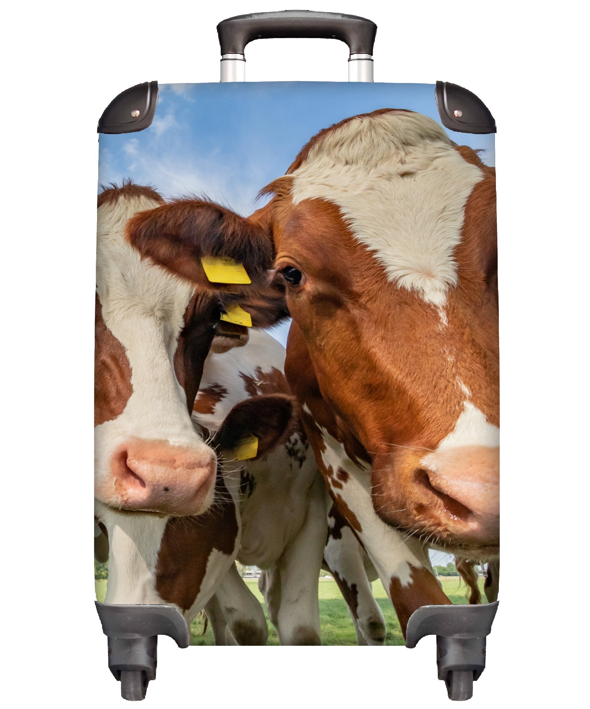 MuchoWow Handgepäckkoffer Kühe Tiere - - Trolley, rollen, Handgepäck 4 Weide Ferien, für Rollen, Reisekoffer Reisetasche mit - Natur