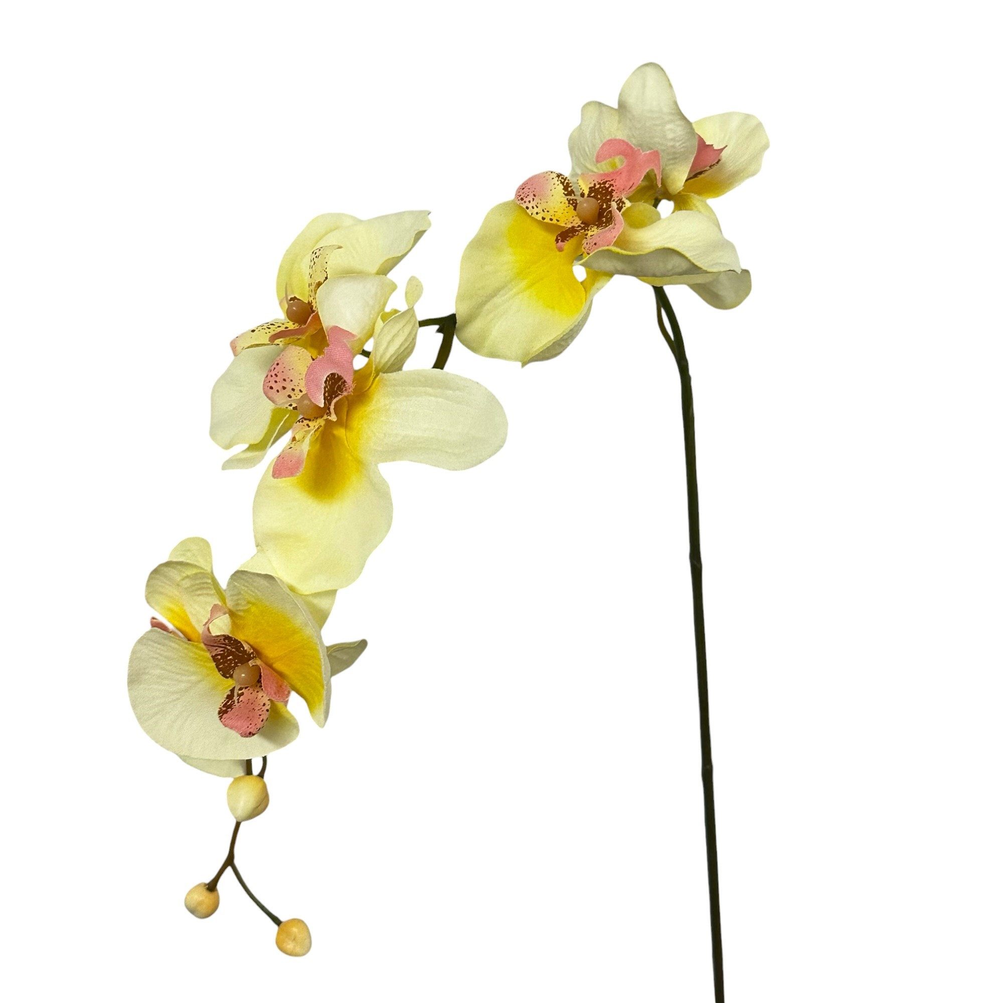 Kunstorchidee Kunstblume, ORCHIDEENZWEIG, Orchidee 78cm, Gasper, Höhe 78.00 cm
