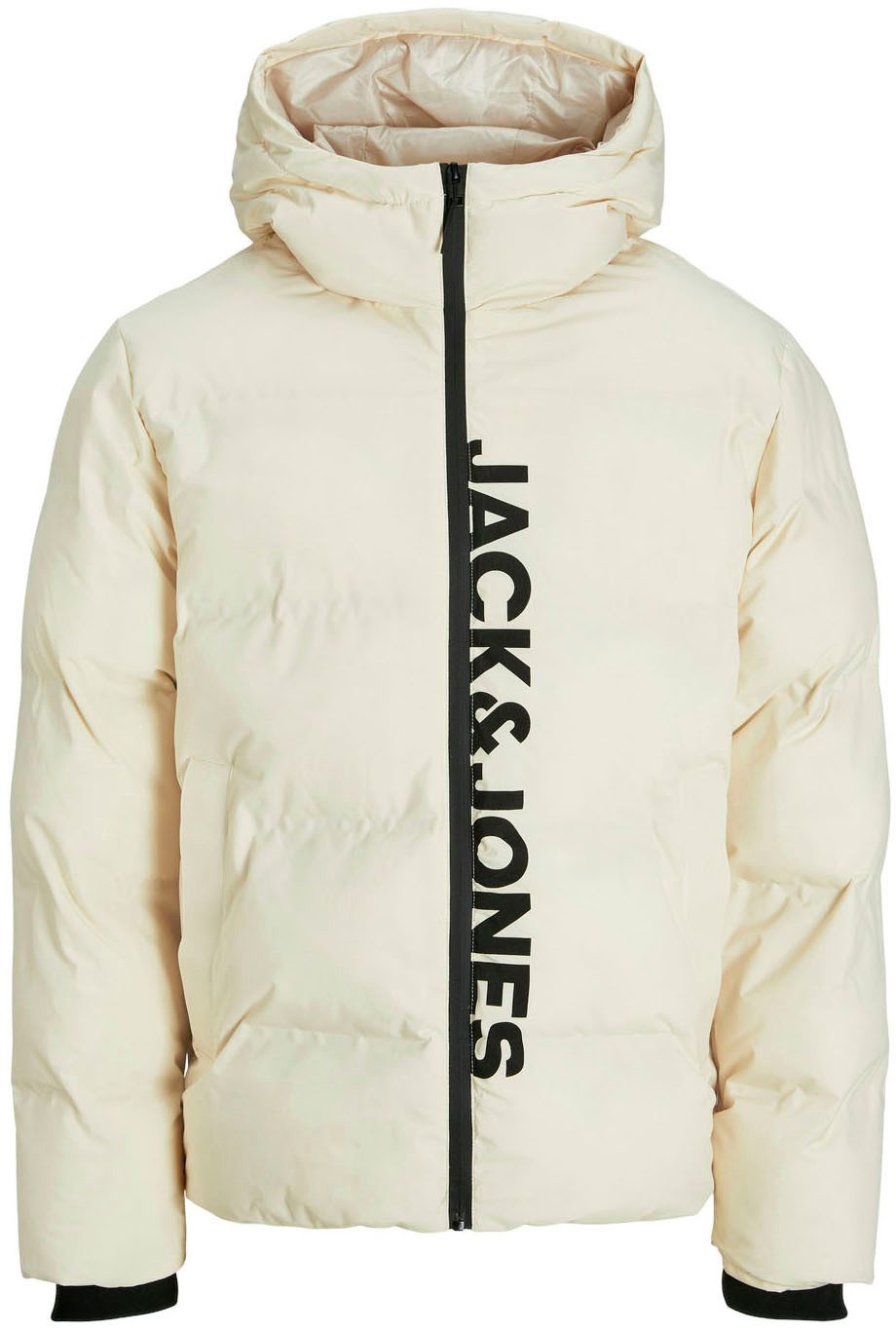 Steppjacke JJPAYNE PUFFER JACKET