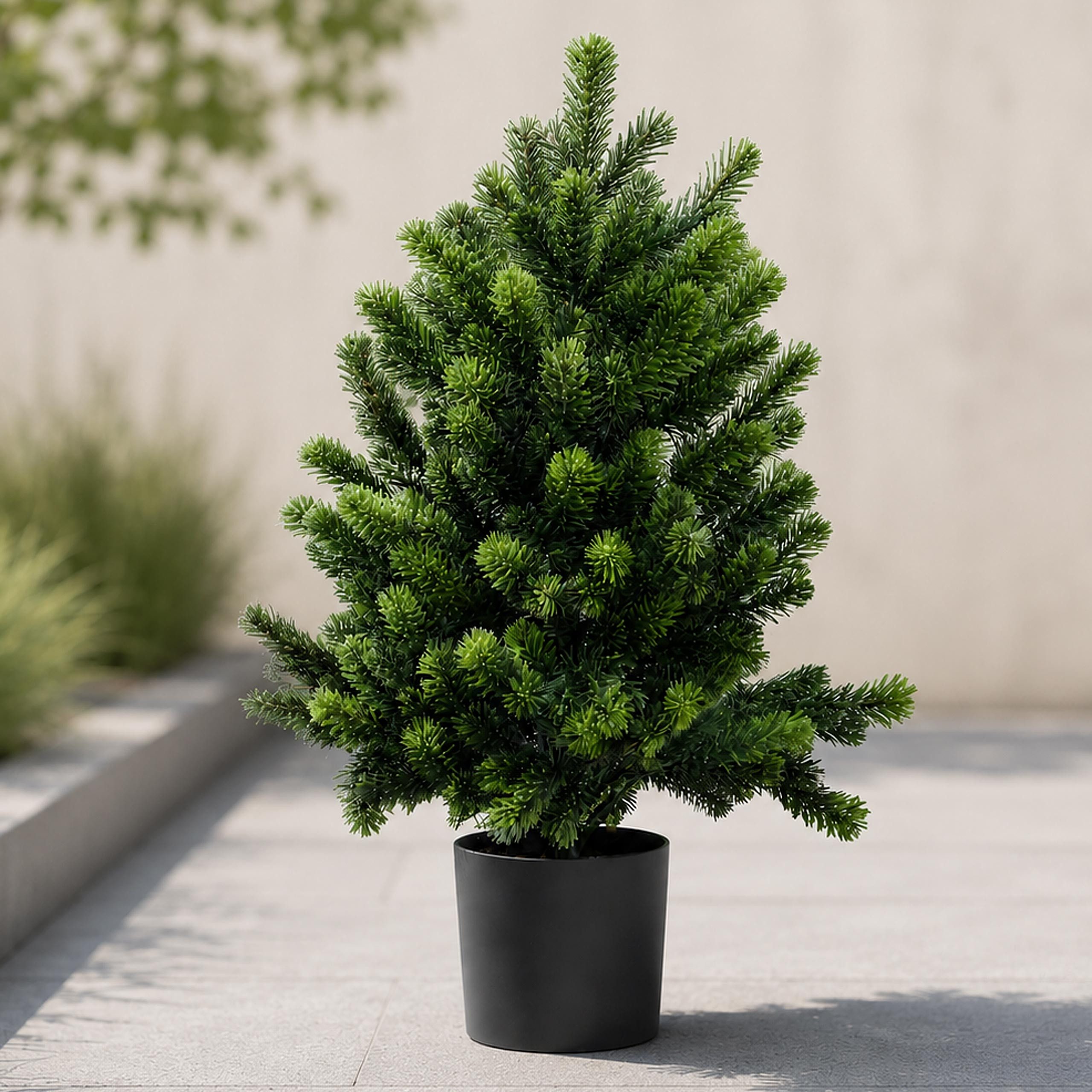 Kunstbaum MCW-R29-KT-60 Tanne, MCW, Höhe 60 cm, Kein Gießen erforderlich