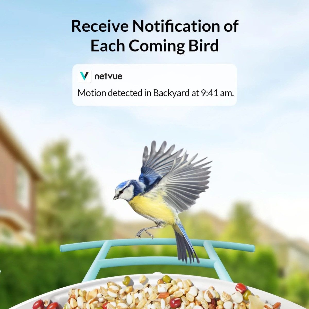 Birdfy Vogelhaus Feeder Pro, mit KI-Kamera und Solarpanel, blau