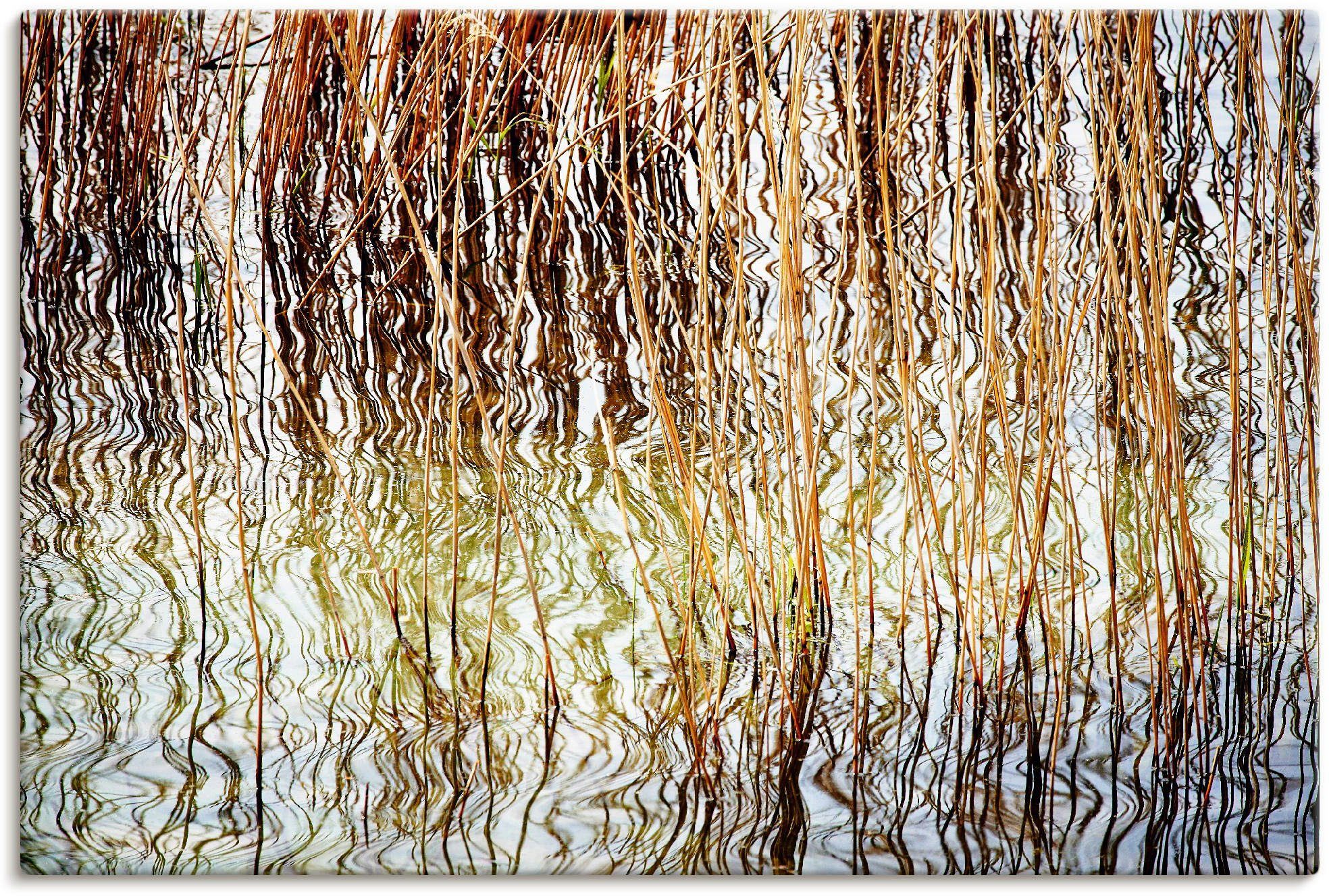 Artland Wandbild Schilfrohr, Gräser als Wandaufkleber Größen Alubild, (1 St), in oder versch. Leinwandbild, Poster