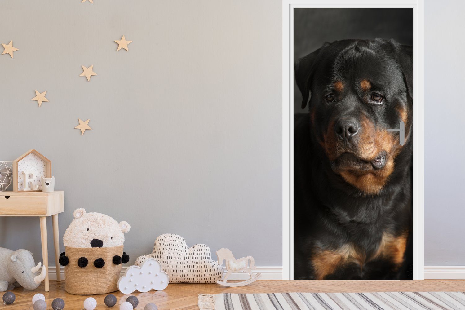 Porträt für im eines bedruckt, Matt, Rottweilers Türaufkleber, cm 75x205 Atelier, (1 Fototapete St), Türtapete MuchoWow Tür,