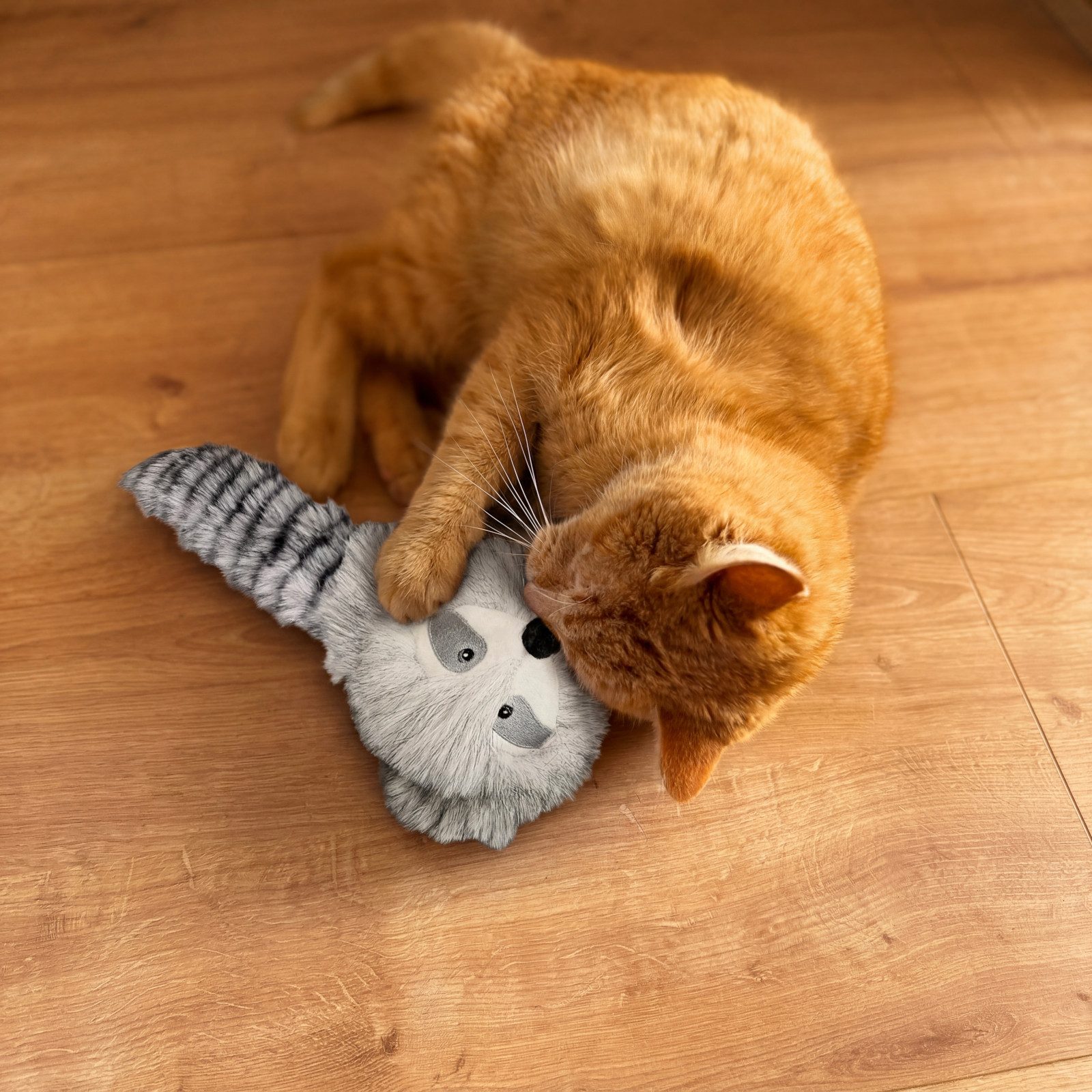 Aumüller Tierkuscheltier Katzenspielkissen Waschbär Wolle, mit Baldrian, Katzenminze und Sil...