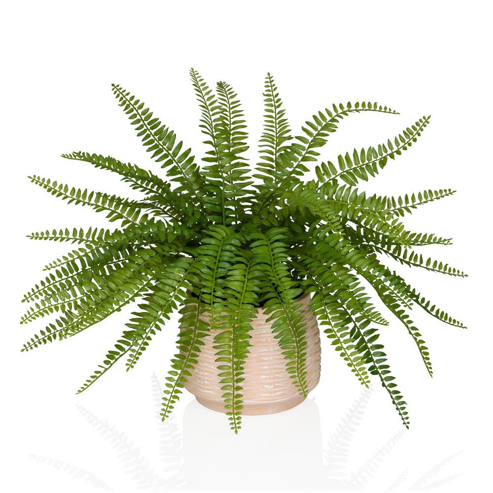 Kunstpflanze Kunstpflanze Proliferum Kunststoff Boston Farn, hjh OFFICE, Höhe 40.0 cm, Künstliche Zimmerpflanze Proliferum, Farn im Terracotta Topf Höhe 40cm