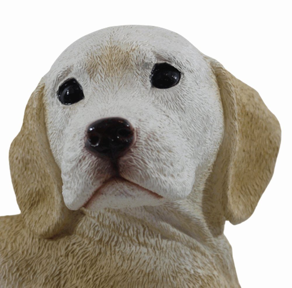 Castagna Tierfigur Labrador Retriever Welpe Kollektion H Castagna Resin aus 17cm