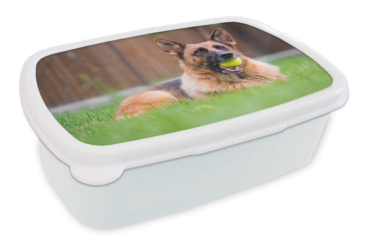 MuchoWow Lunchbox Deutscher Schäferhund mit einem Tennisball im Maul, Kunststoff, (2-tlg), Brotbox für Kinder und Erwachsene, Brotdose, für Jungs und Mädchen weiß