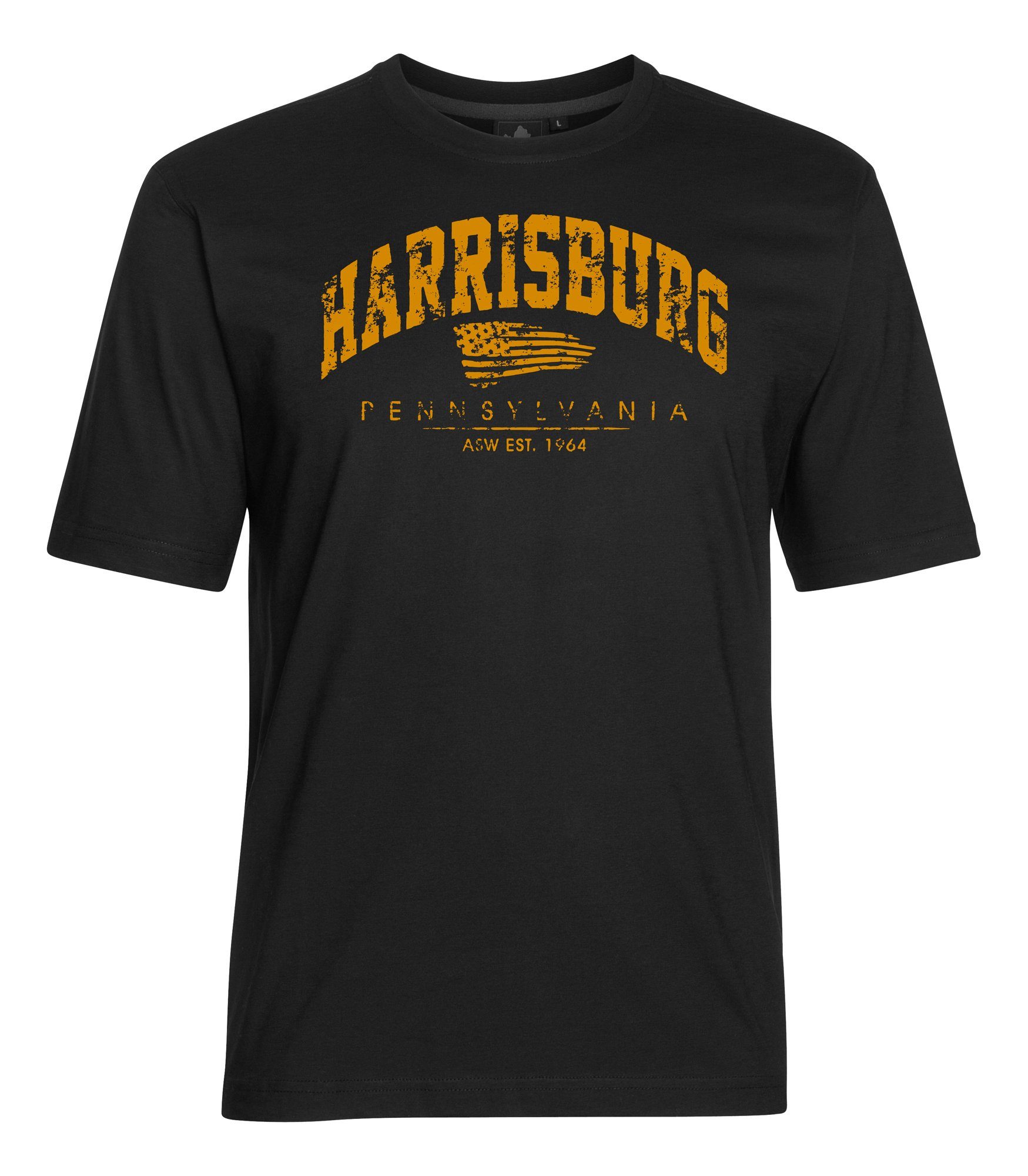 AHORN SPORTSWEAR T-Shirt HARRISBURG mit sportlichem Print schwarz