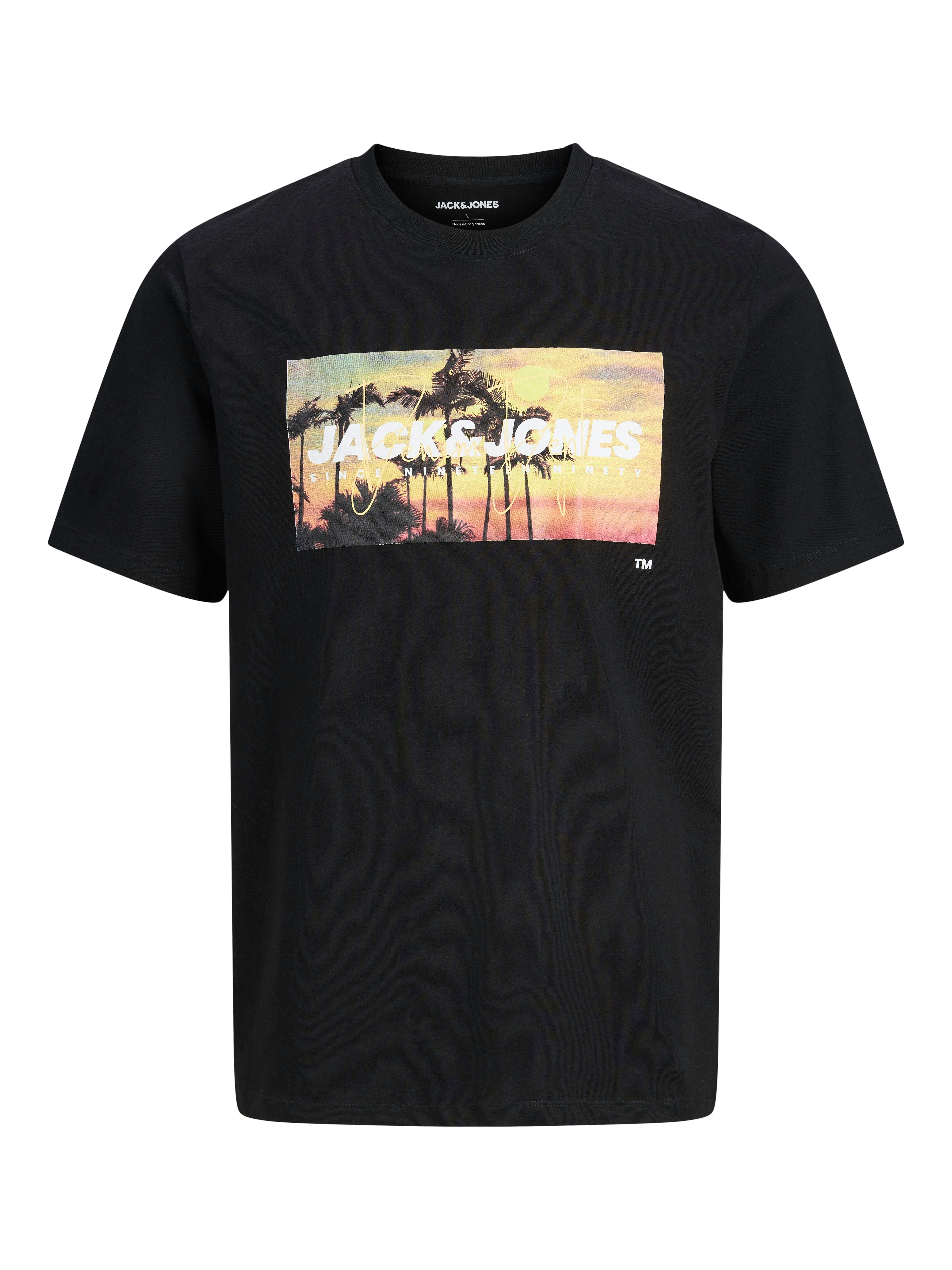Rundhalsshirt JJINDIANA TEE SS CREW NECK PLS