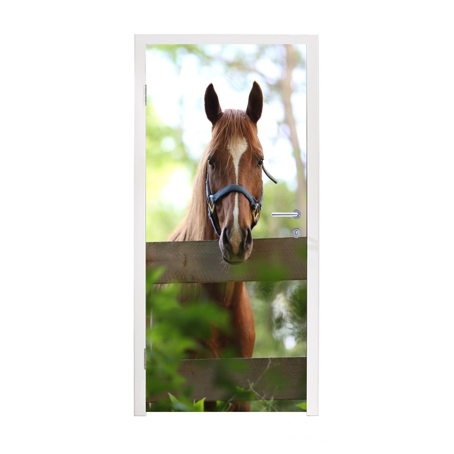 MuchoWow Türtapete Pferd - Natur - Zaun, Matt, bedruckt, (1 St), Fototapete für Tür, Türaufkleber, 75x205 cm