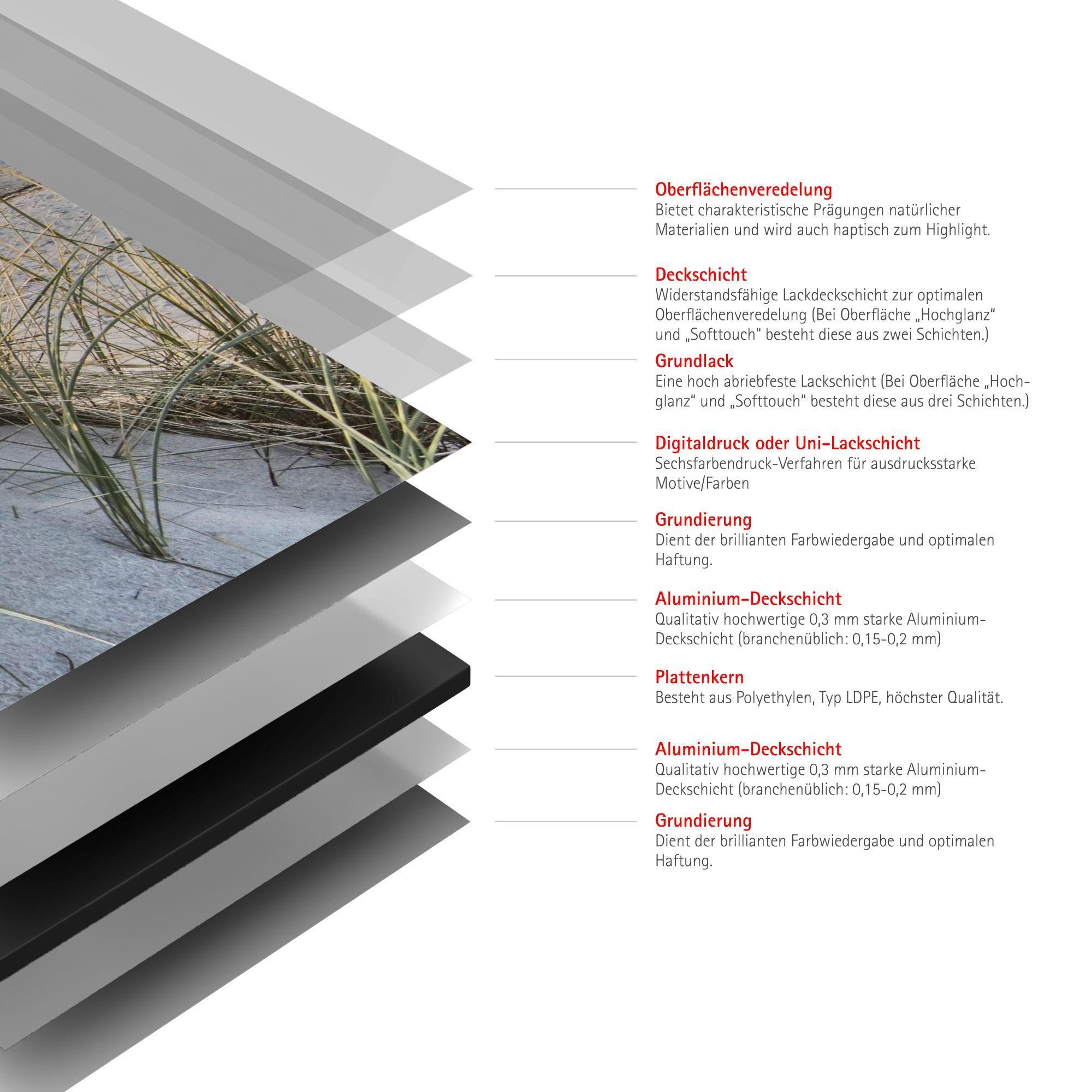 Schulte Duschrückwand 90 x 210 cm Alu-Verbund, (2-tlg), Nordsee Düne DecoDesign