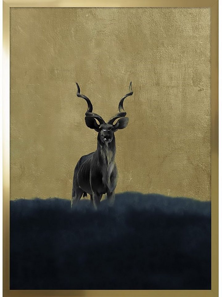 laminiert Kudu Cosy gemalt Hirsch Antilope Ideas Hirsch, (Stück), Wanddeko mit goldener Home mit Bild Rahmen Hintergrund Rahmen, Wandbild Kudu