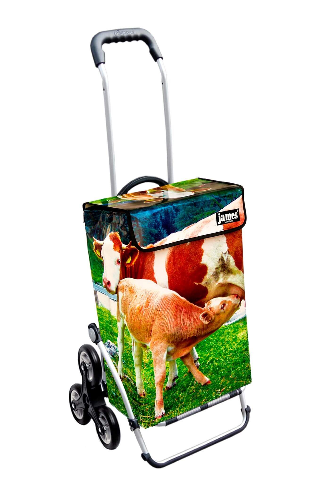 Royal Treppensteigerräder