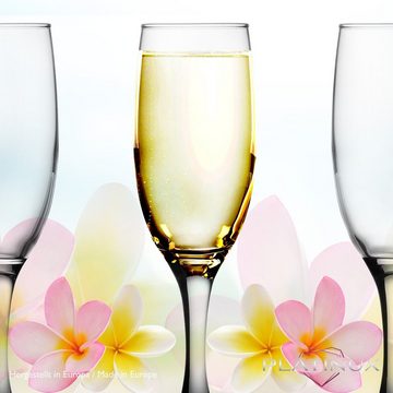 PLATINUX Sektglas Sektgläser bunt 150ml, Glas, (max.190ml) Champagnergläser Prosecco Gläser Sektflöten Sektkelche