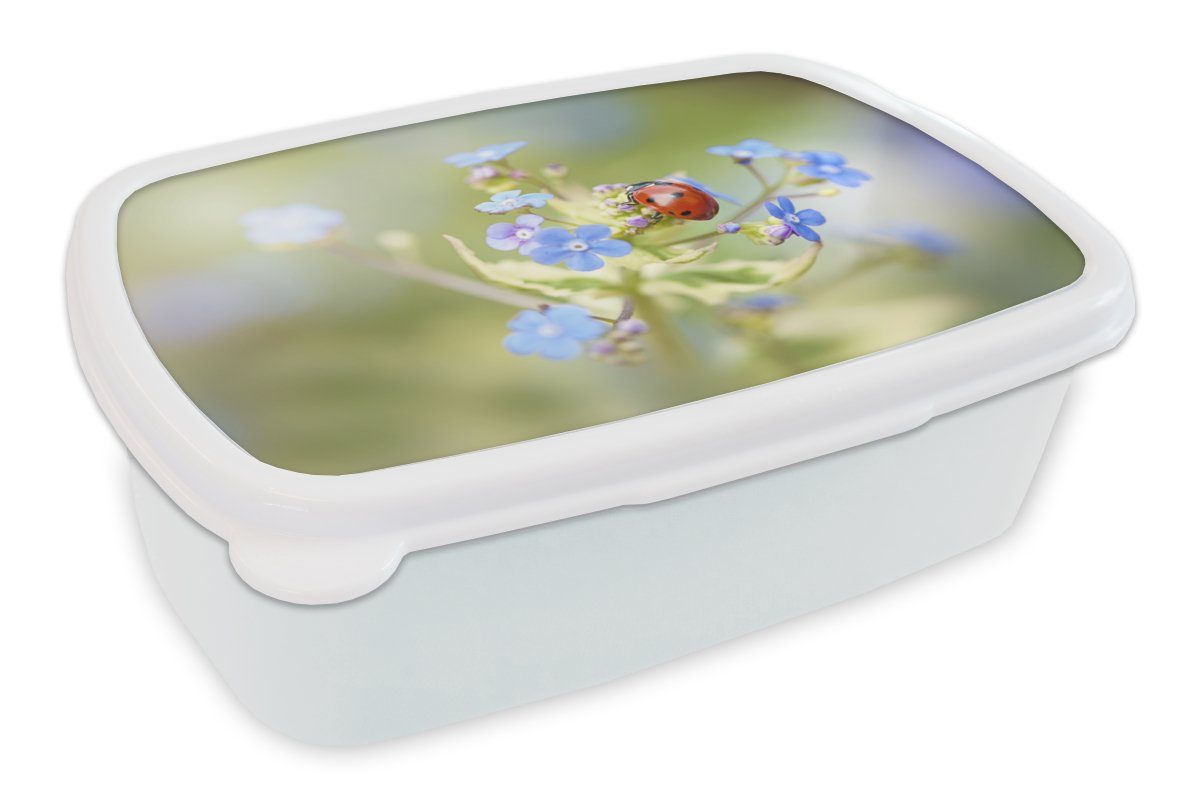 MuchoWow Lunchbox Marienkäfer - Blume - Frühling, Kunststoff, (2-tlg), Brotbox für Kinder und Erwachsene, Brotdose, für Jungs und Mädchen weiß