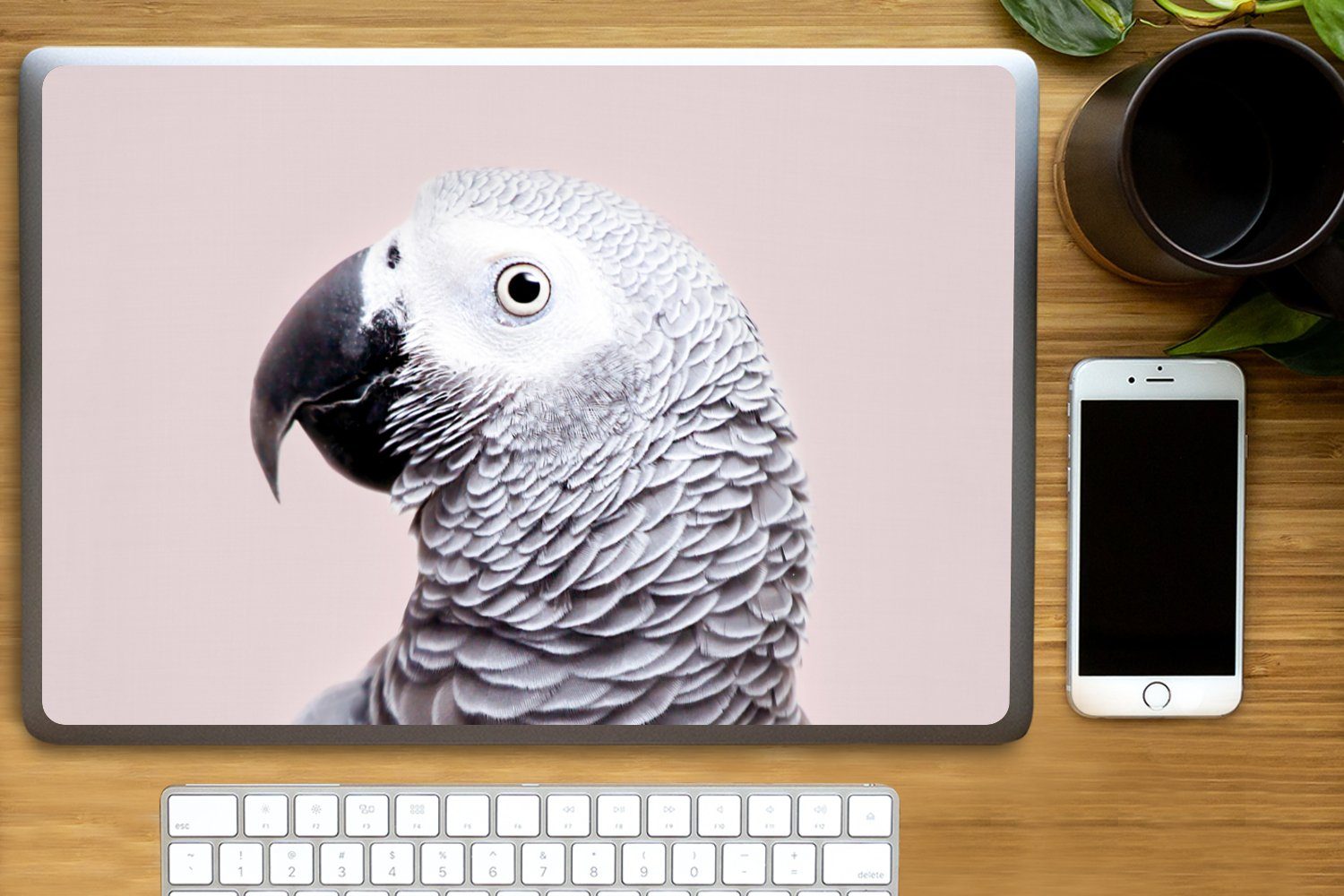 Thumbnail - MuchoWow Laptop-Aufkleber Papagei - Grau - Tiere - Natur