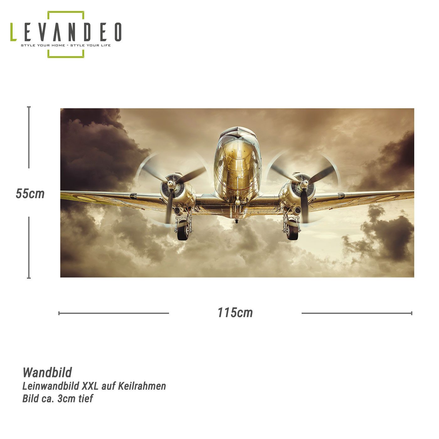 Levandeo® Leinwandbild, Leinwand Flugzeug XXL 115x55cm günstig online kaufen