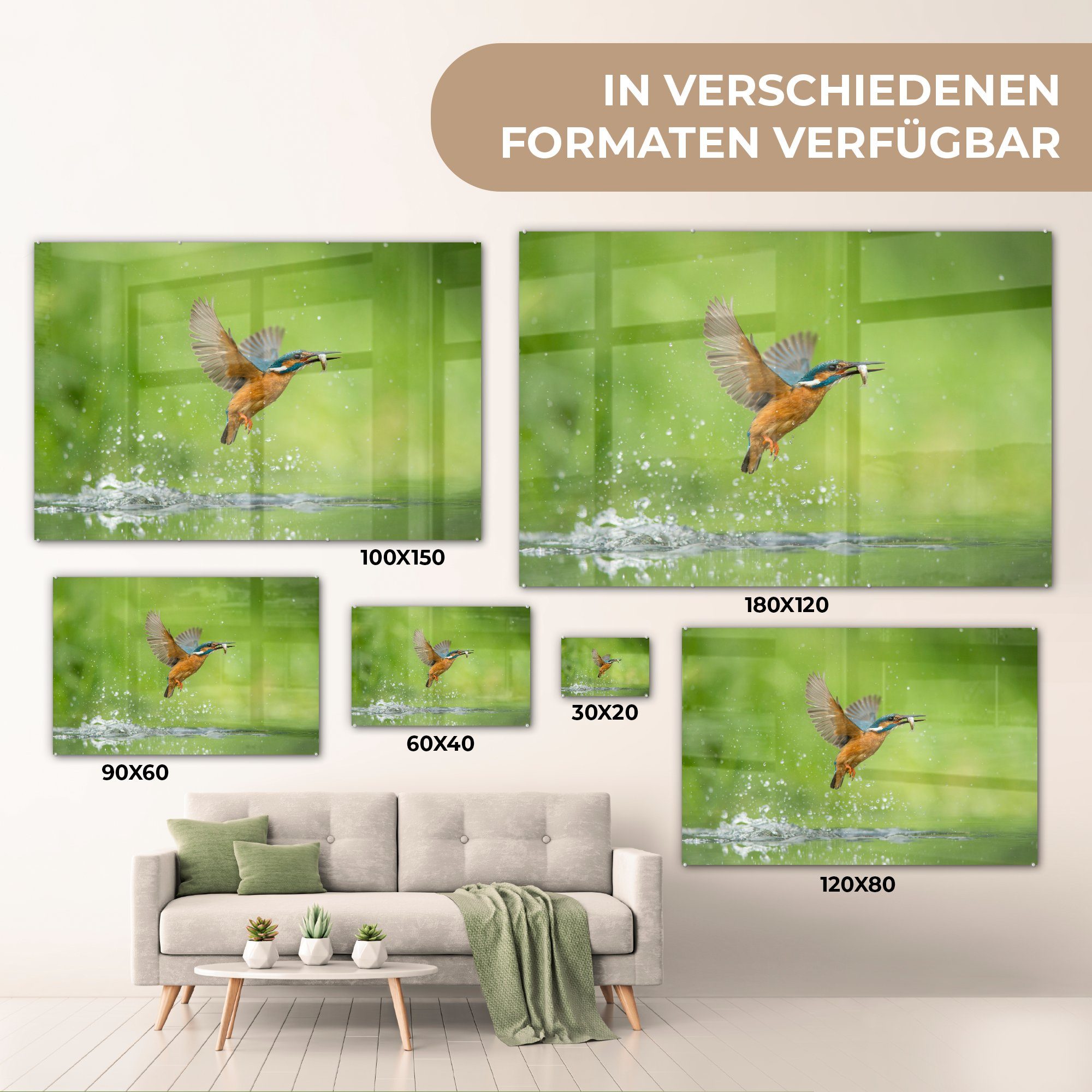 - St), Acrylglasbild Acrylglasbilder Wohnzimmer Schlafzimmer Eisvogel - (1 Tiere, & MuchoWow Fische