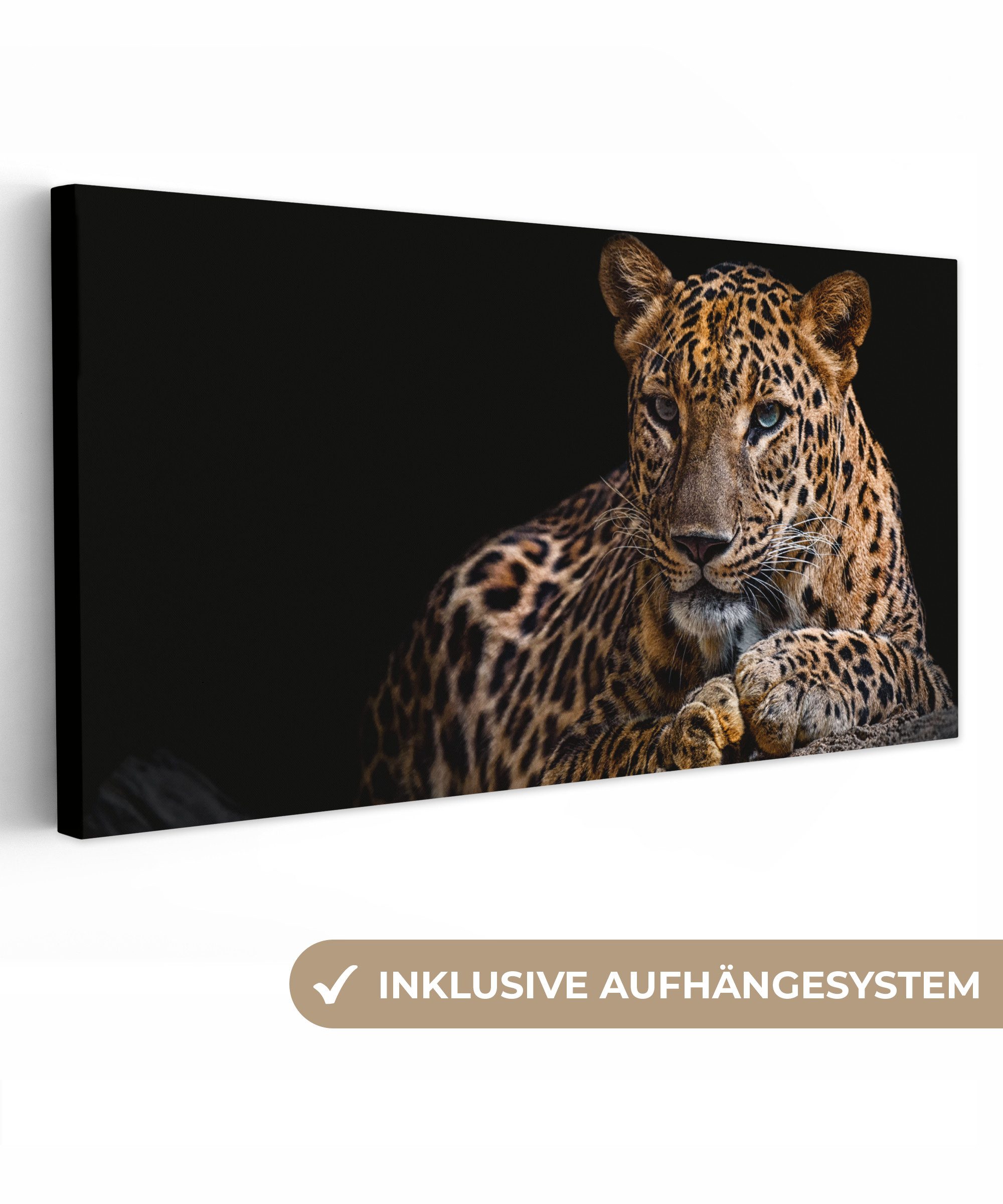 OneMillionCanvasses® Leinwandbild Panorama Wildtiere - Panther - Porträt - günstig online kaufen