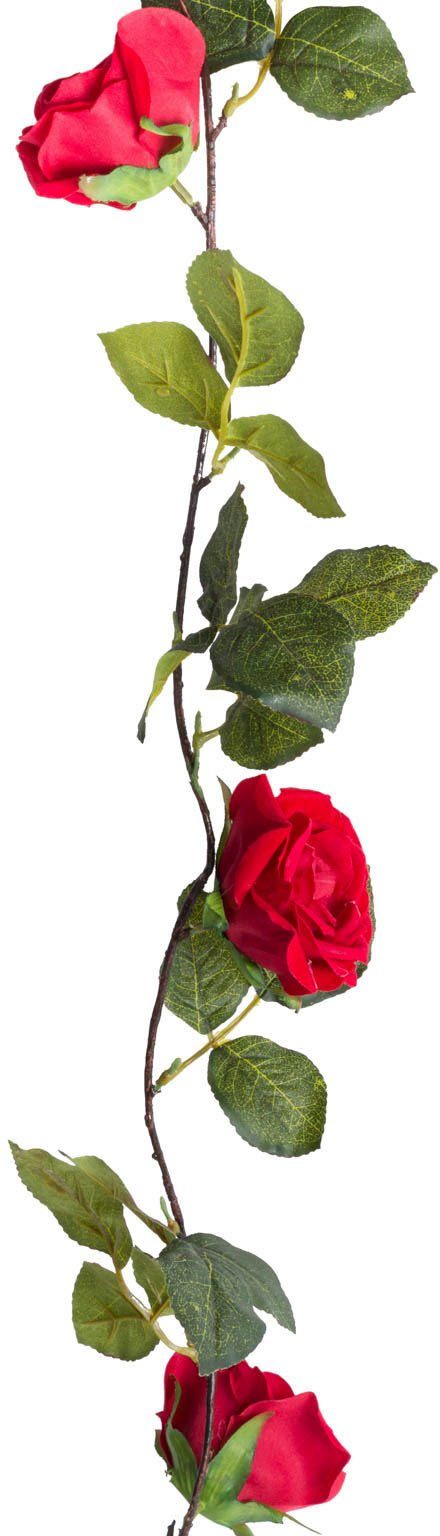 Kunstblume Rosengirlande Rose, Botanic-Haus, Höhe 150 günstig online kaufen