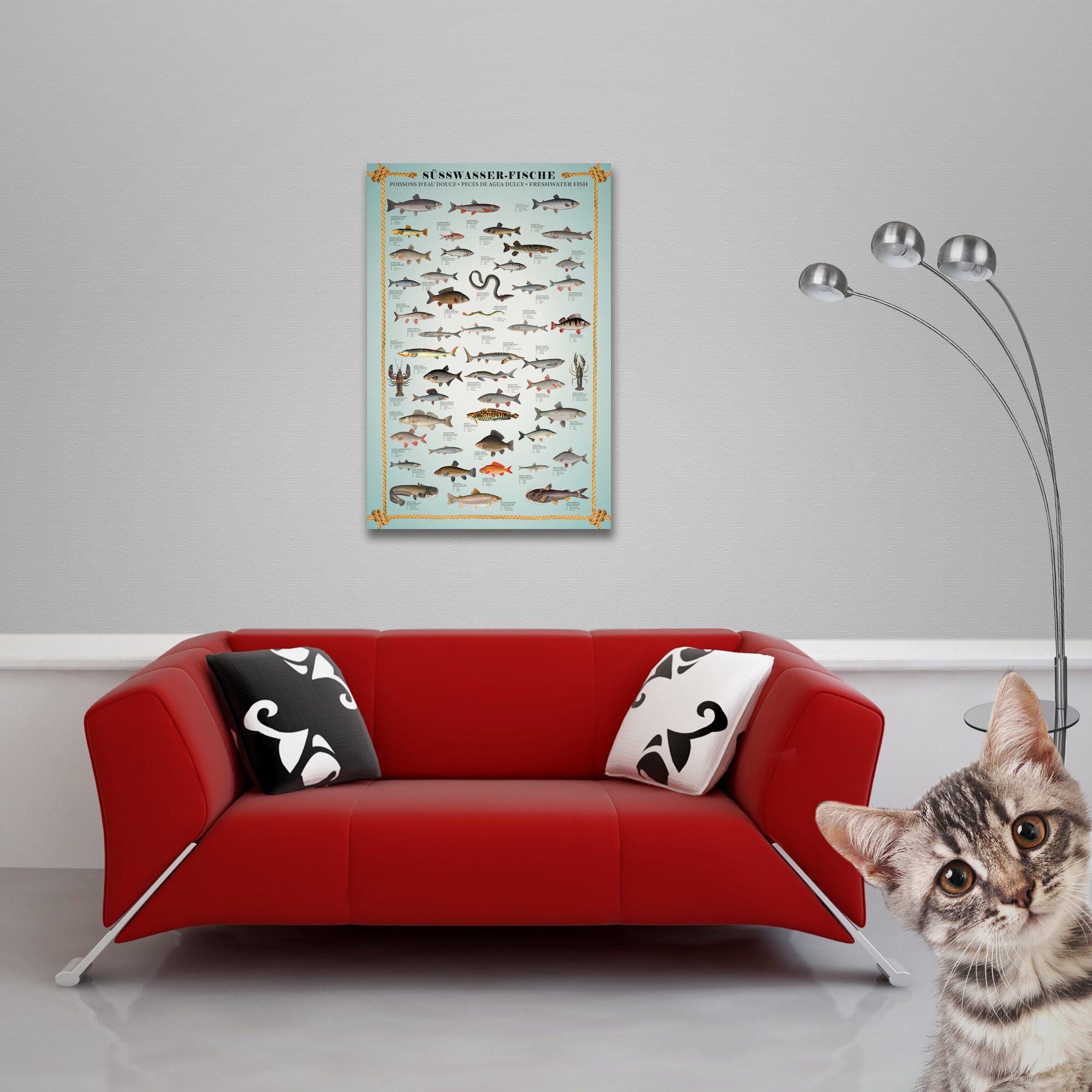 Poster Educational - Bildung - Poster - Süsswasserfische günstig online kaufen