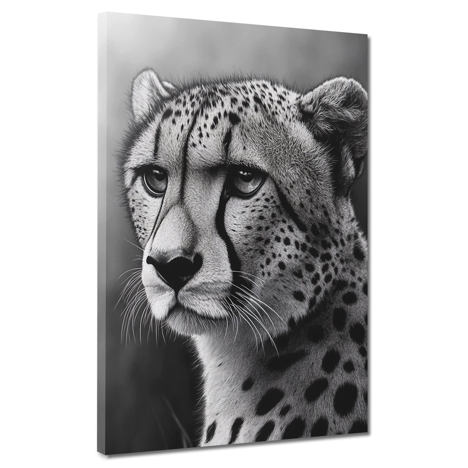 Artedinoi Leinwandbild Eleganter Gepard schwarz weiß Ausdruck Leinwandbild Wandbild XL Wandde, Gepard in Schwarz-Weiß