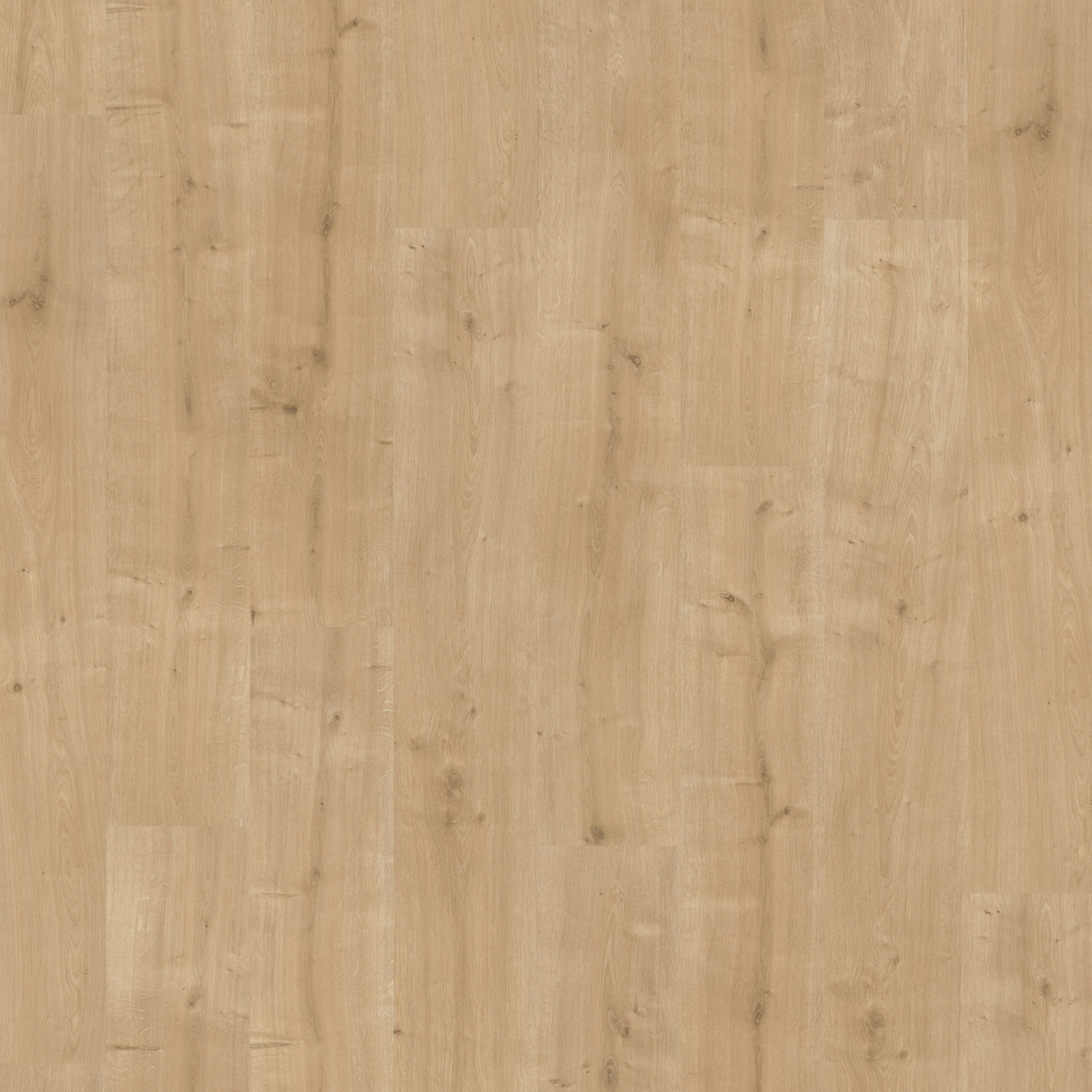 PARADOR Laminat Basic 400 Eiche geschliffen, 10 St., Klicklaminat 2,493m² (10 Dielen) pro Karton, Eiche