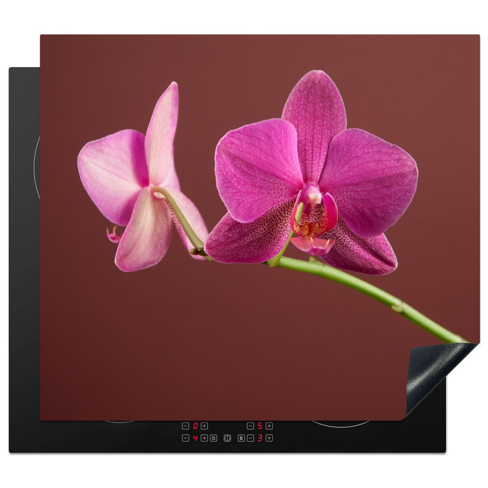 MuchoWow Herdblende-/Abdeckplatte Blumen - Orchideen - Rosa, Vinyl, (1 tlg), 59x52 cm, Ceranfeldabdeckung für die küche, Induktionsmatte