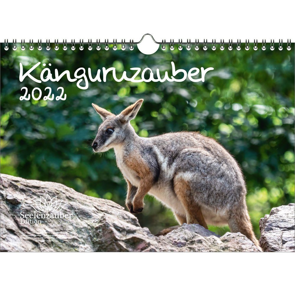 Seelenzauber Wandkalender »Känguruzauber DIN A4 Kalender für 2022 Känguru