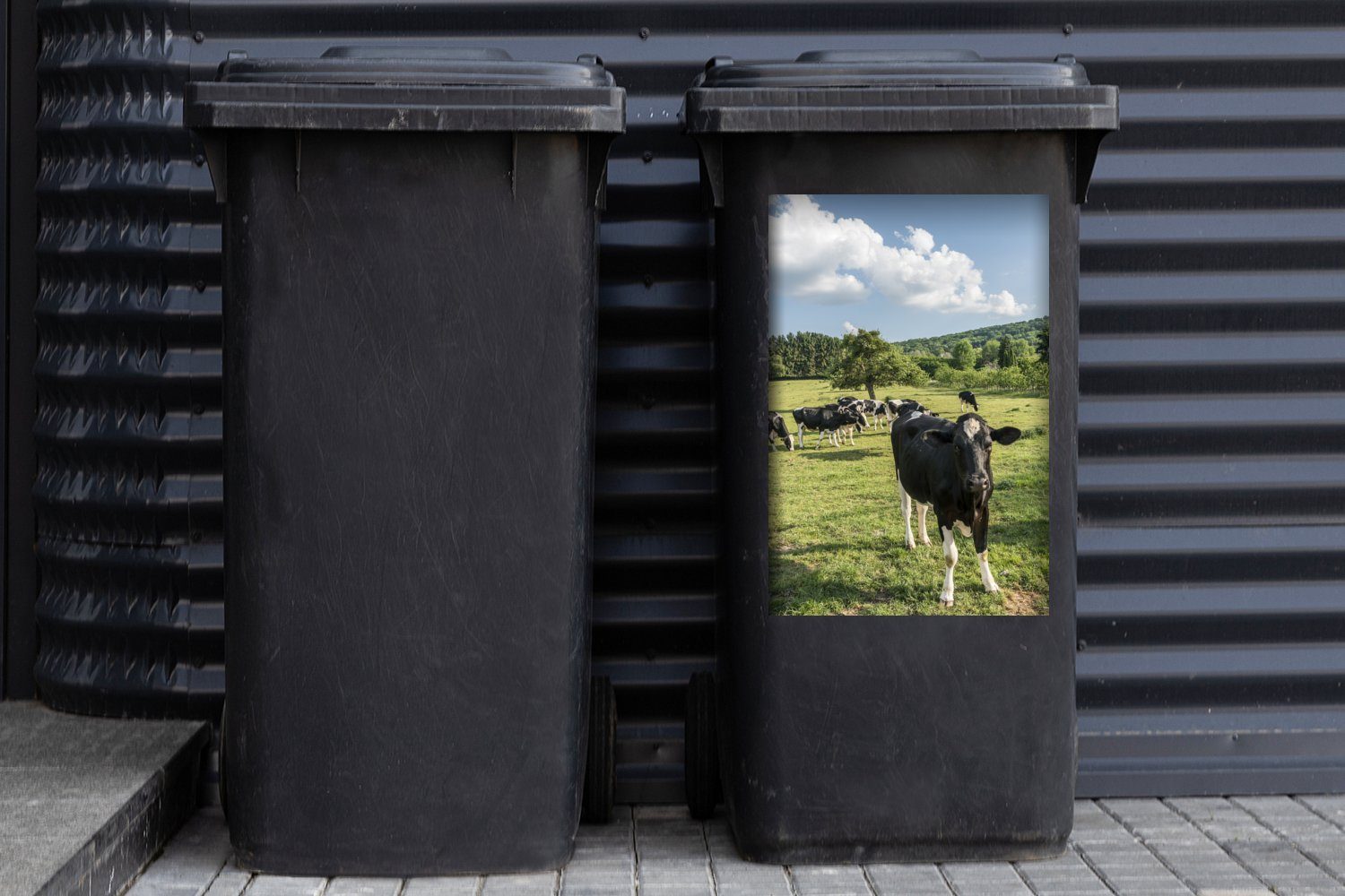 MuchoWow Wandsticker Kühe - (1 Belgien Gras Abfalbehälter Mülleimer-aufkleber, Container, - Mülltonne, Sticker, St)