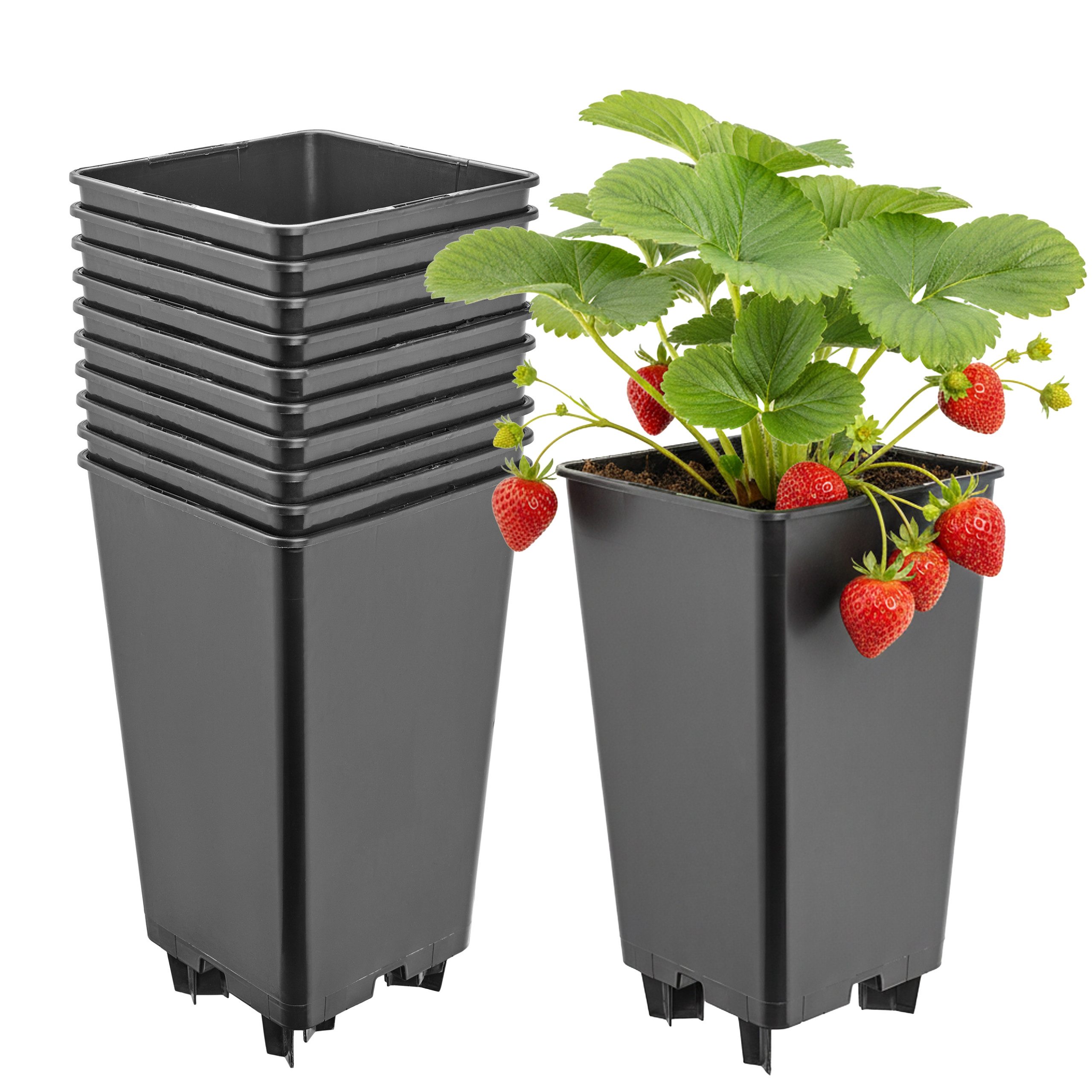 Garronda Blumentopf Kunststoff mit Standfüßen für Erdbeeren und Himbeeren GD-0206 (10 St., 10er Set)