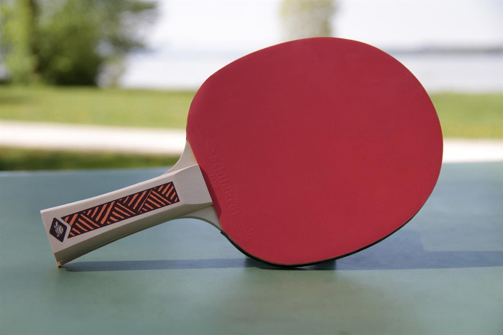 Donic Tischtennisschläger Champs Line 300, Tischtennis Schläger Racket Table Tennis Bat