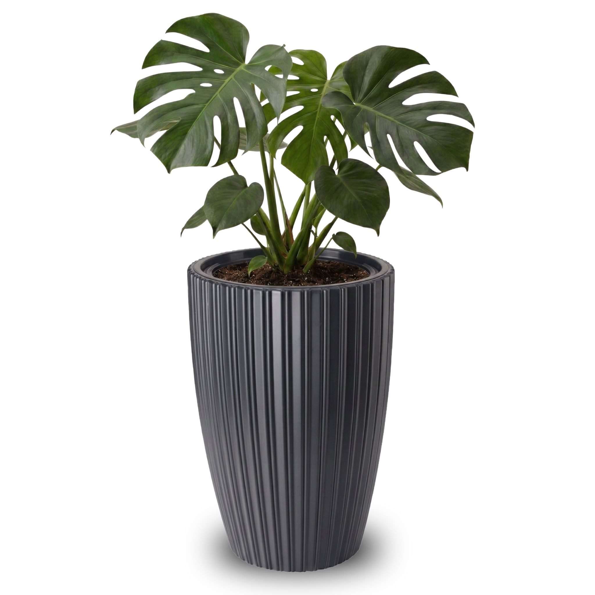 matches21 HOME & HOBBY Blumentopf Großer Outdoor Blumentopf ZENTO schwarz in 29 x 48 cm (1 St), Runder innen, außen Pflanztopf als wetterfester Pflanzen-Topf