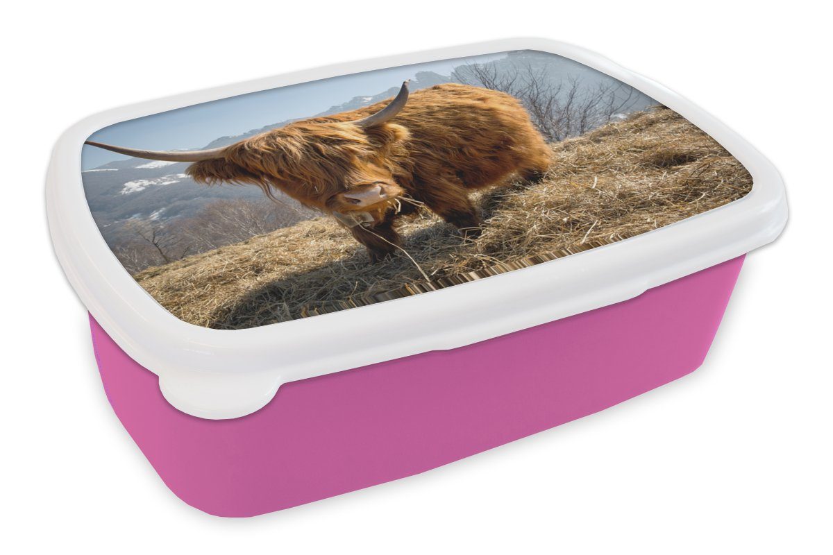 - rosa Schottischer - Highlander Schnee, Kunststoff Erwachsene, Brotdose Mädchen, Berg für Brotbox Snackbox, MuchoWow Lunchbox (2-tlg), Kinder, Kunststoff,
