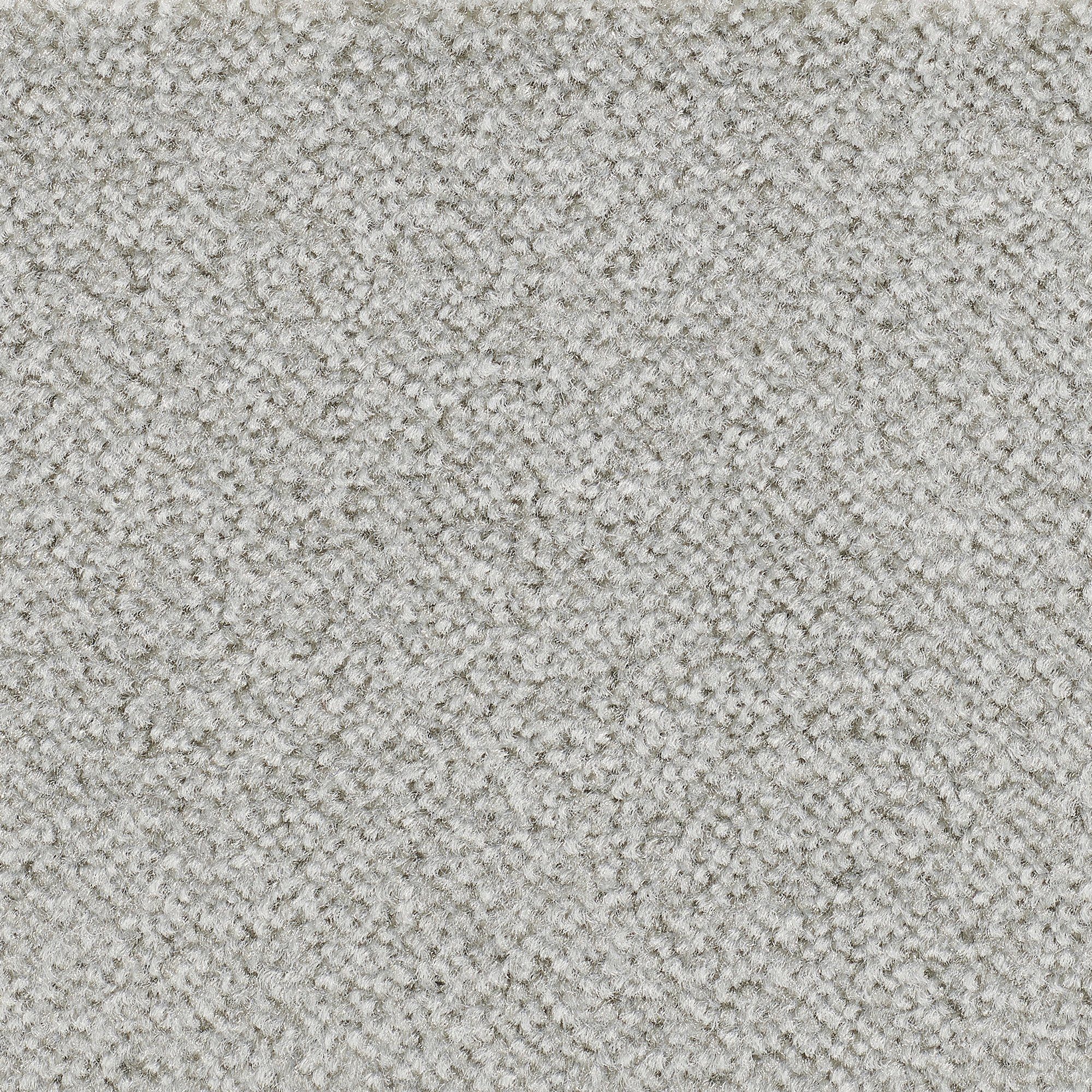 Teppichboden Veloursteppich Juno, Bodenmeister, rechteckig, Höhe: 8,5 mm, Wohnzimmer, Schlafzimmer, Kinderzimmer, Breite 400/500 cm hell-grau