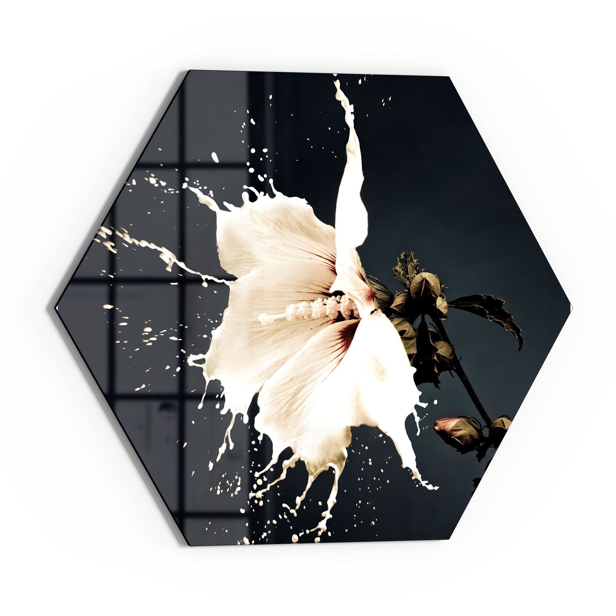 DEQORI Glasbild 'Milchige Blüte', 'Milchige Blüte', günstig online kaufen