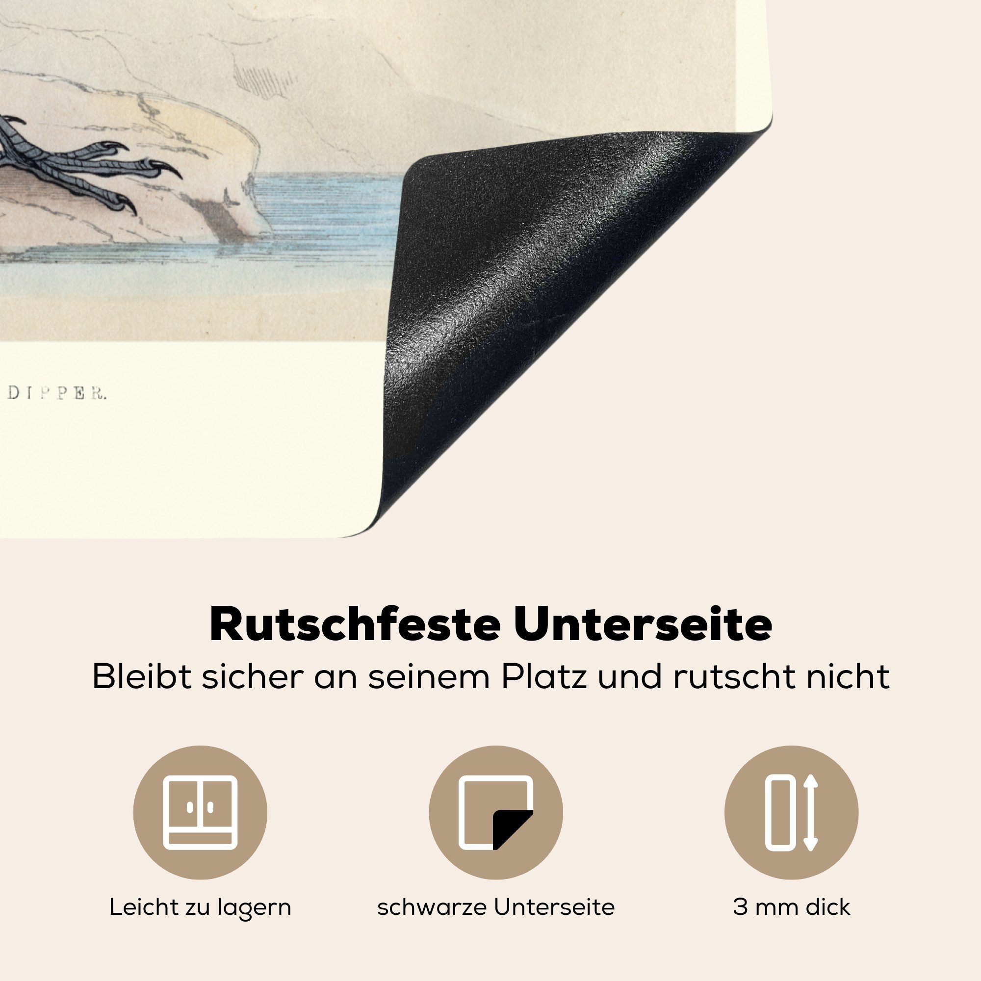 Cinclus Mobile Ceranfeldabdeckung cm, alte 60x52 Vinyl, Herdblende-/Abdeckplatte cinclus, MuchoWow farbenfrohen tlg), nutzbar, eines Eine (1 Illustration Arbeitsfläche