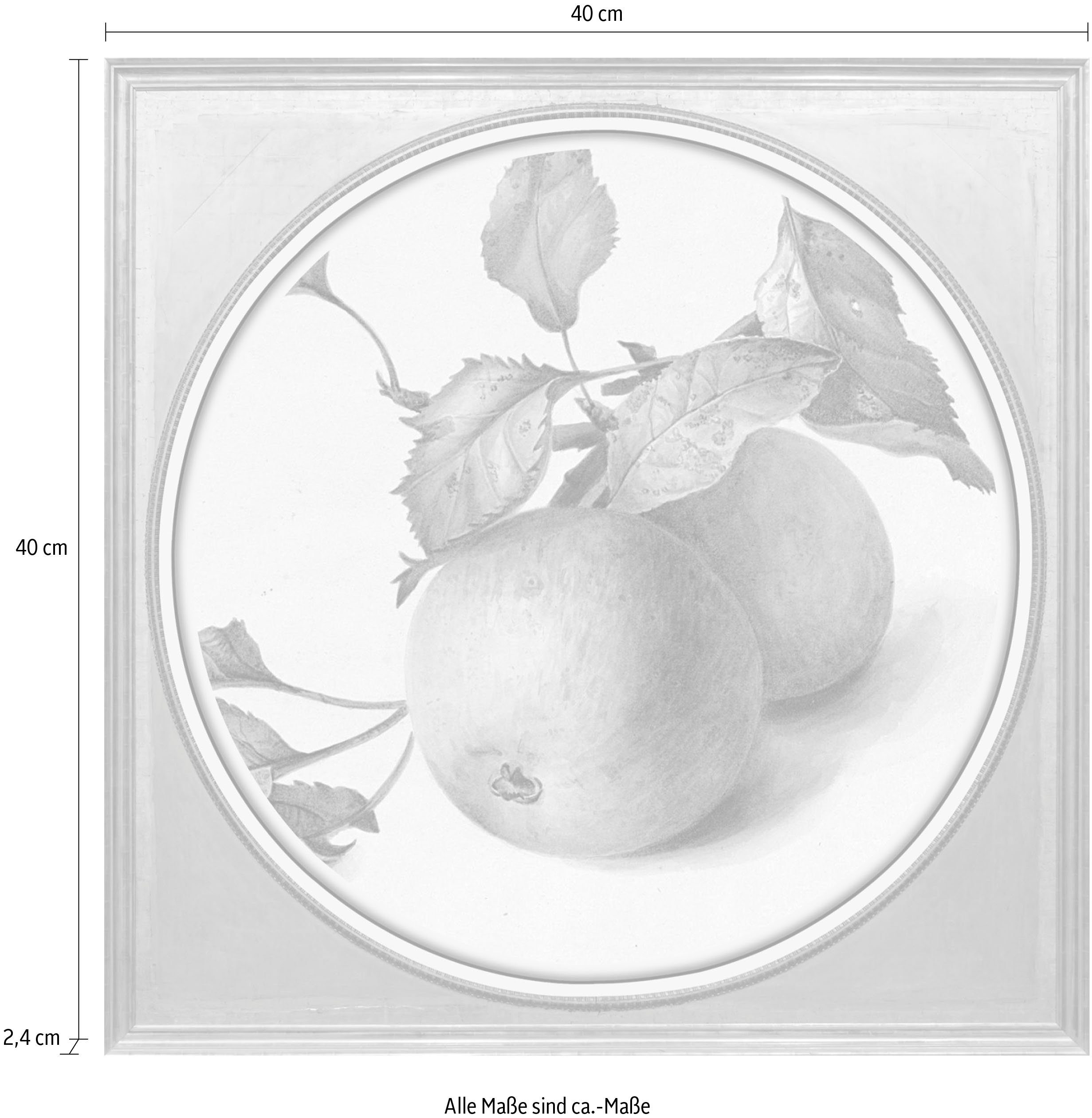 queence Acrylglasbild Apfel