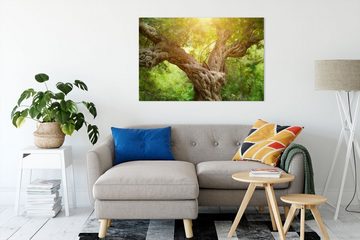 Pixxprint Leinwandbild Mächtiger Baum im Wald, Mächtiger Baum im Wald (1 St), Leinwandbild fertig bespannt, inkl. Zackenaufhänger