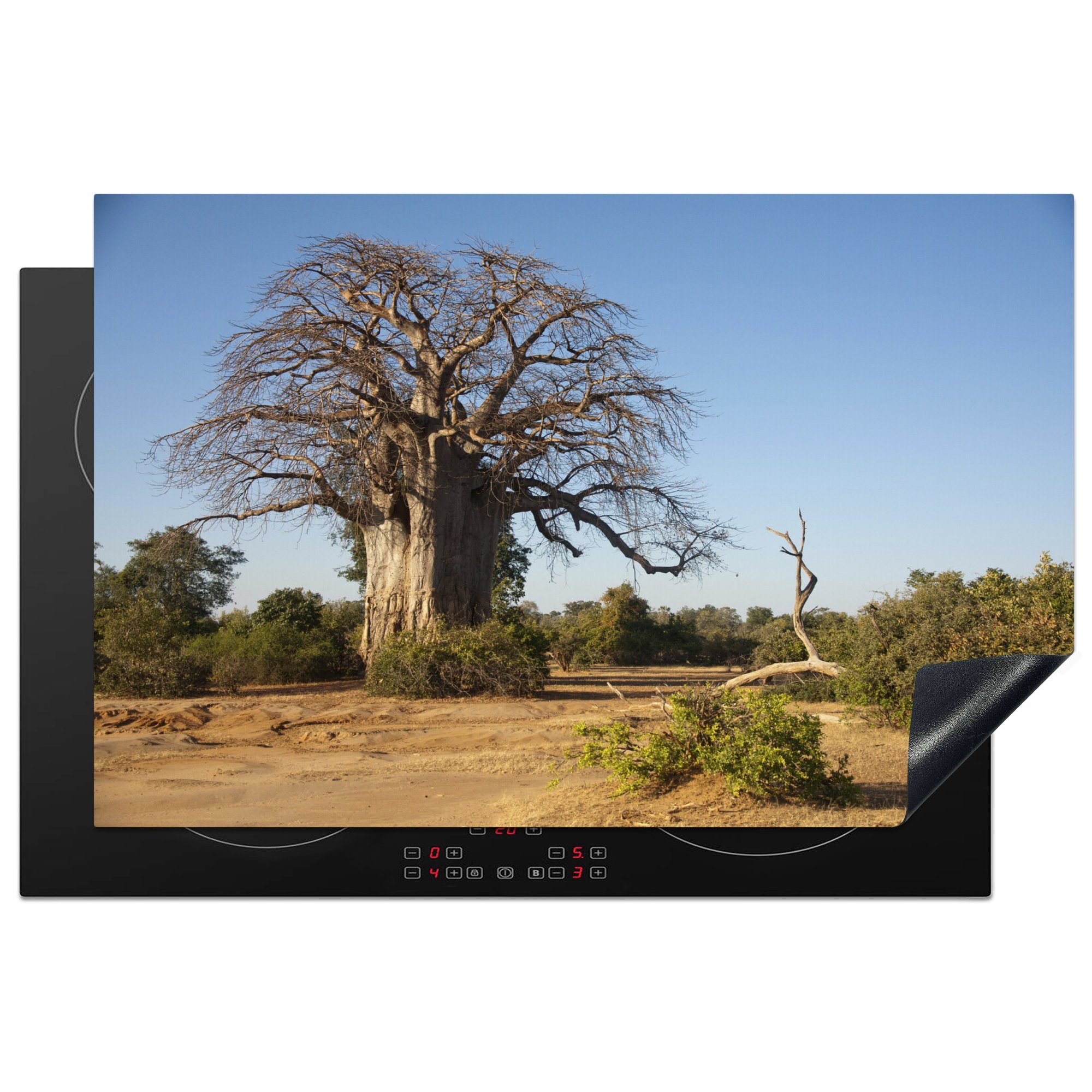 MuchoWow Herdblende-/Abdeckplatte Fantastischer Boabab im Lower Zambezi National Park, Vinyl, (1 tlg), 81x52 cm, Induktionskochfeld Schutz für die küche, Ceranfeldabdeckung
