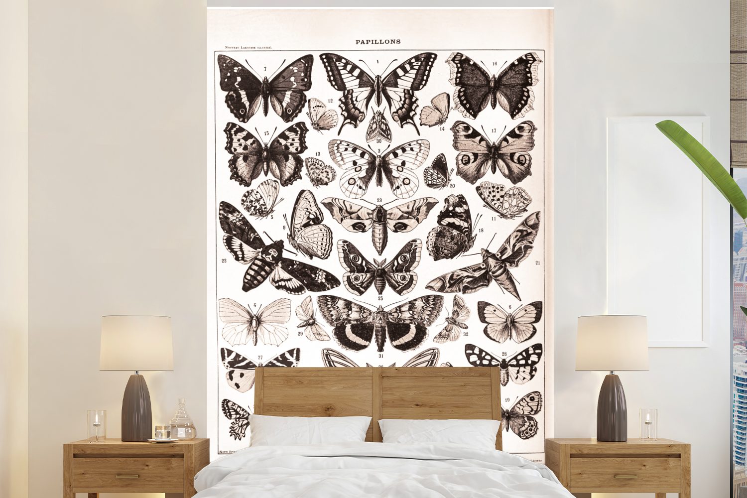 MuchoWow Fototapete Tiere - Schmetterling - Schwarz - Weiß, Matt, bedruckt, (3 St), Montagefertig Vinyl Tapete für Wohnzimmer, Wandtapete