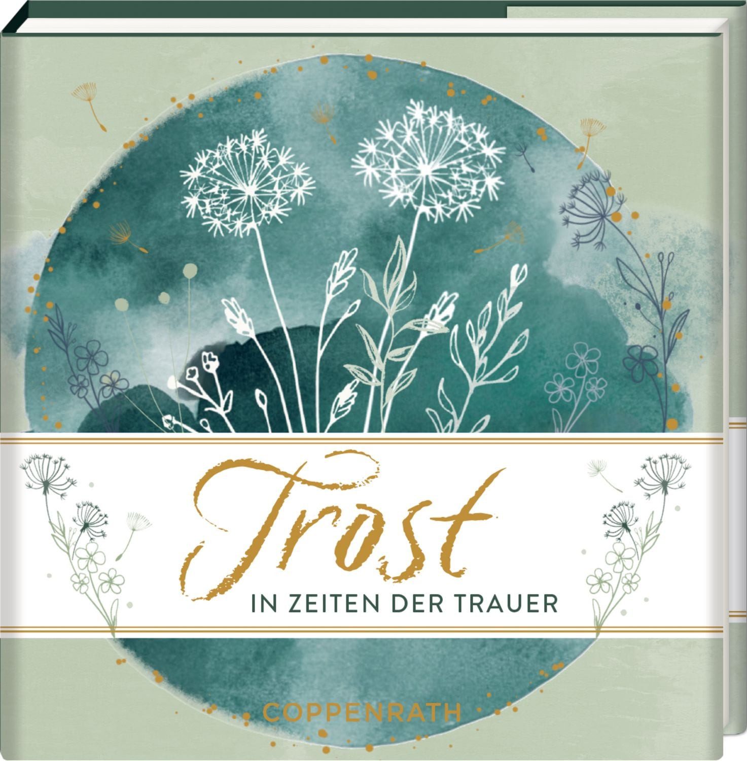 Trost / diverse