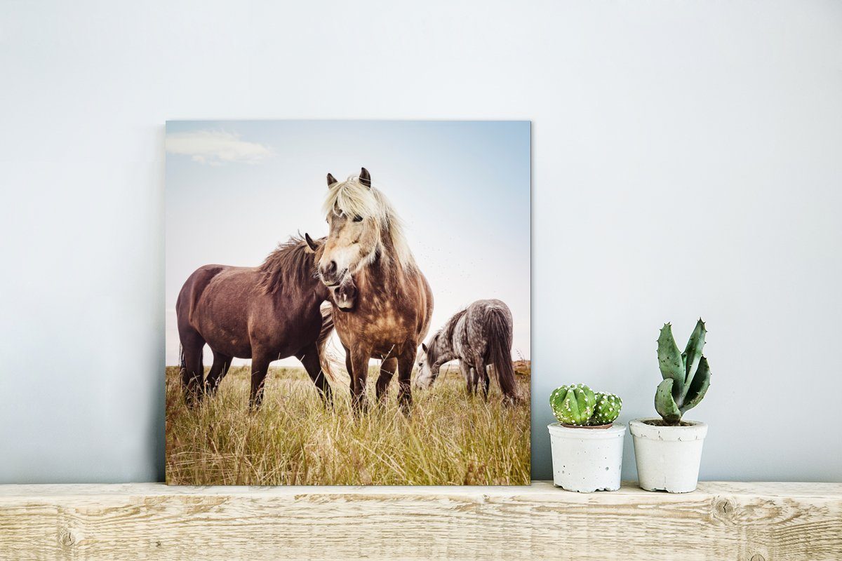 - Gras Pferde aus Alu-Dibond-Druck, MuchoWow Frühling, Gemälde - deko St), Metallbild Aluminium Metall, (1