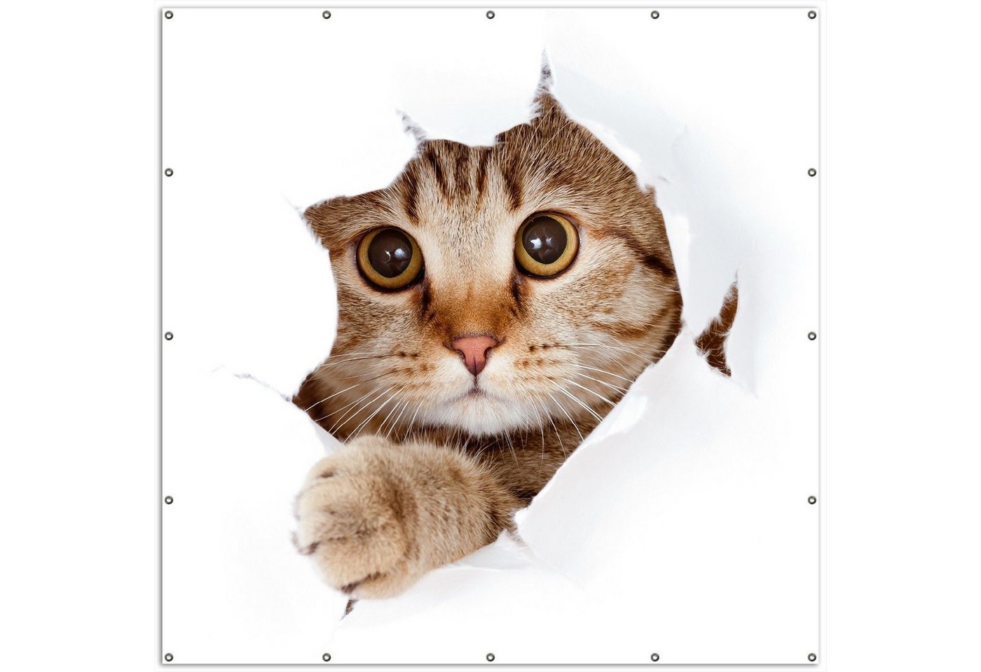 Thumbnail - Wallario Sichtschutzzaunmatten Katze mit Blick nach vorn, rund