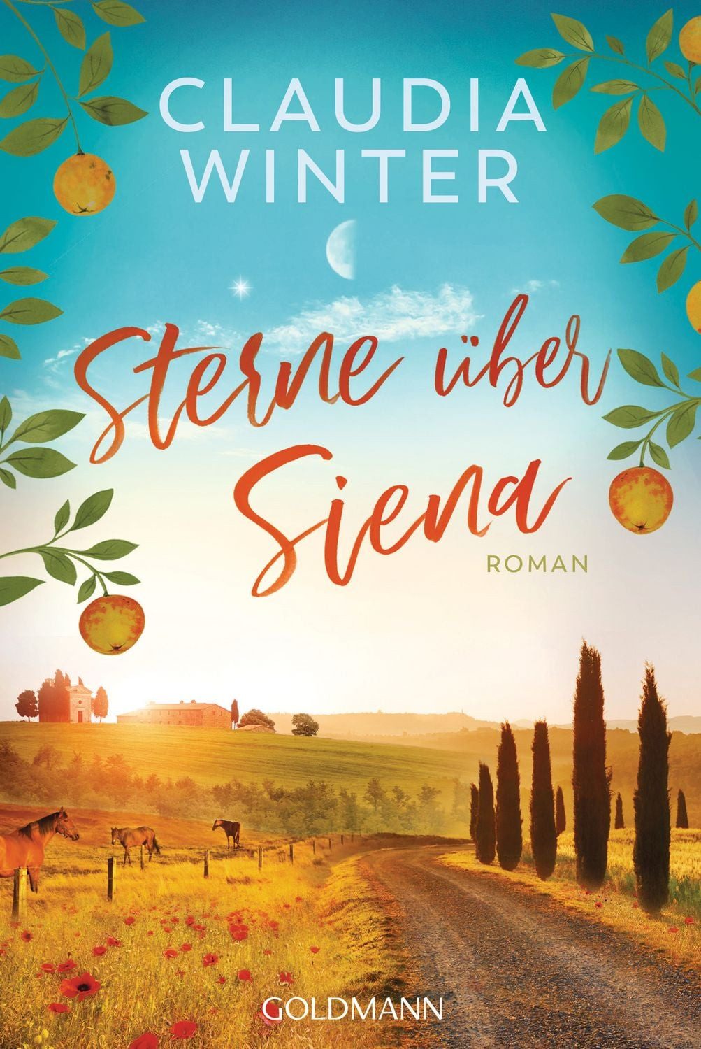 Sterne über Siena / Claudia Winter