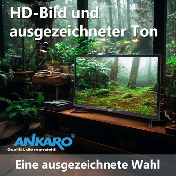 Ankaro ANK CL-3205 LCD-LED Fernseher (81 cm/32 Zoll, HD-ready, Triple Tuner DVB-S2 / DVB-T2 / DVB-C - CI+ Steckplatz)