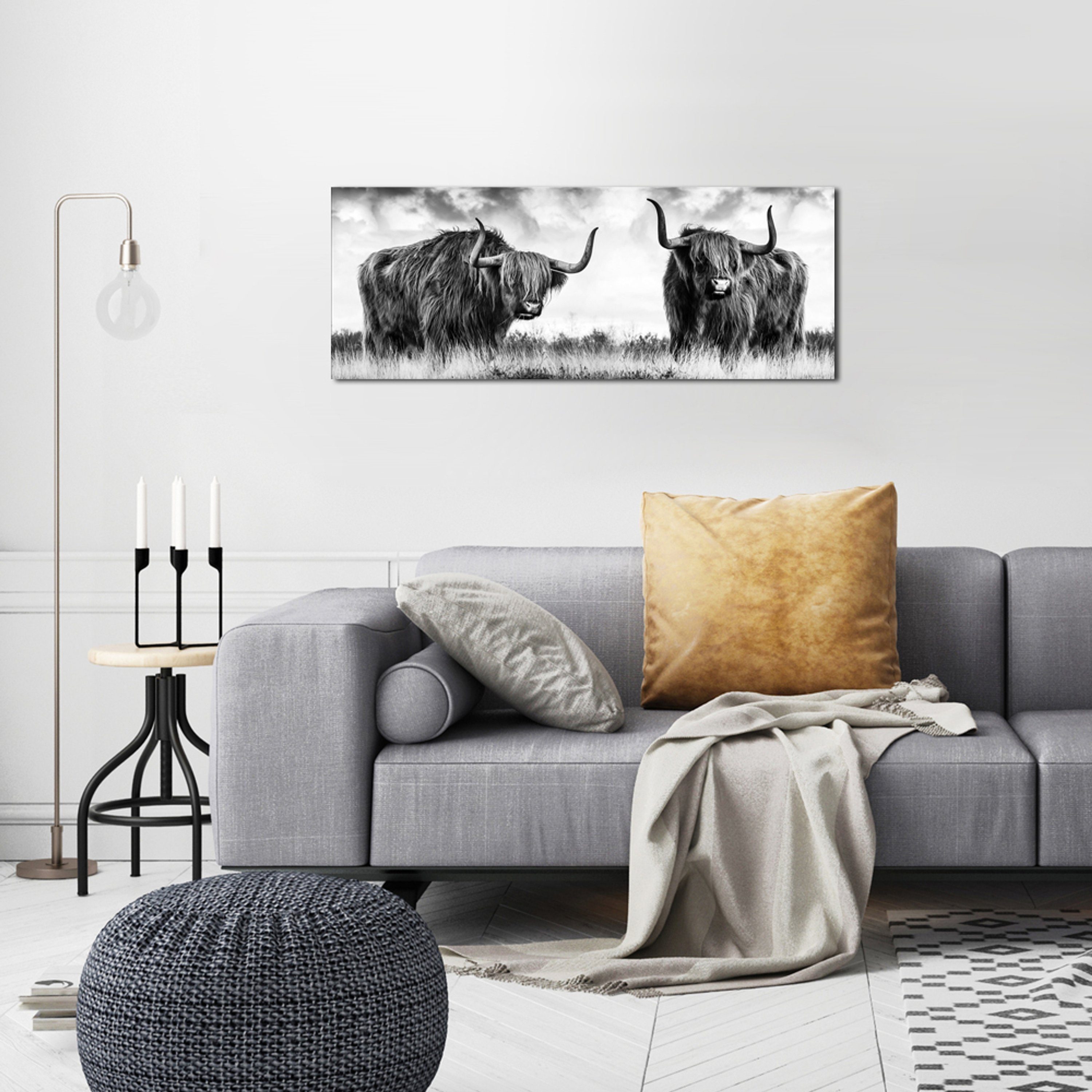 Foto Bild Hochlandrind modern schwarz-weiß Glasbild Tier-Fotografie: Kühe artissimo 80x30cm Glasbild Kuh,
