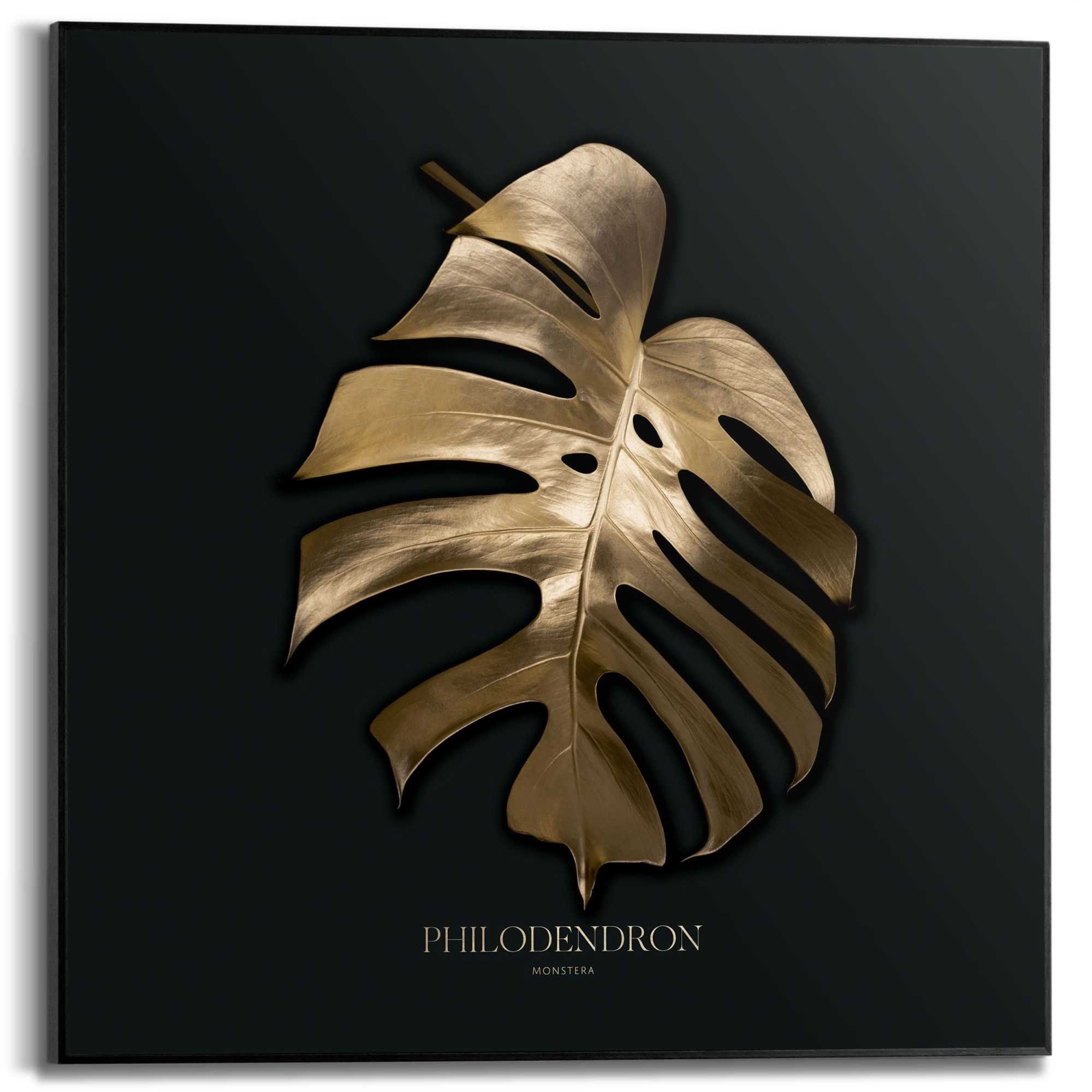 Reinders! Poster Monstera Blatt