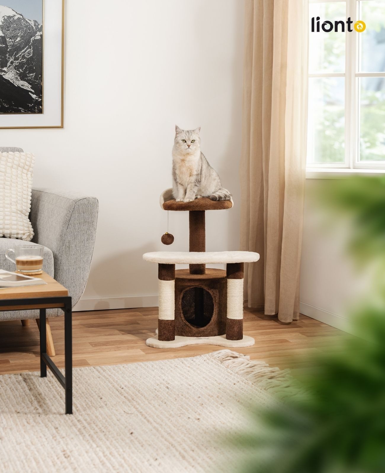 lionto Kratzbaum 65 cm mit Sisalstämmen, Plüschhöhle & Spielball, stabiler Spielbaum ideal für kleine Katzen