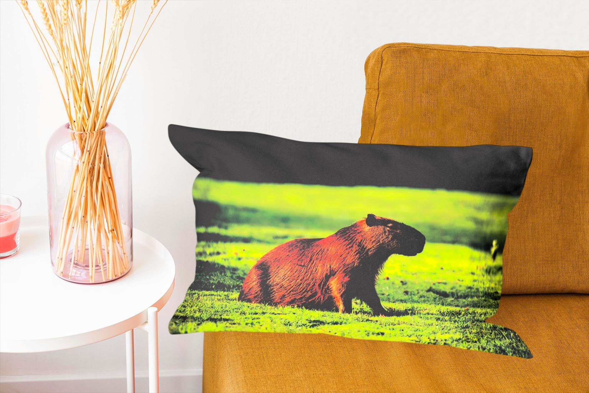 Capybara, über Goldene Füllung, Wohzimmer dem mit Dekokissen Sonnenstrahlen MuchoWow Zierkissen, Dekokissen Dekoration, Schlafzimmer
